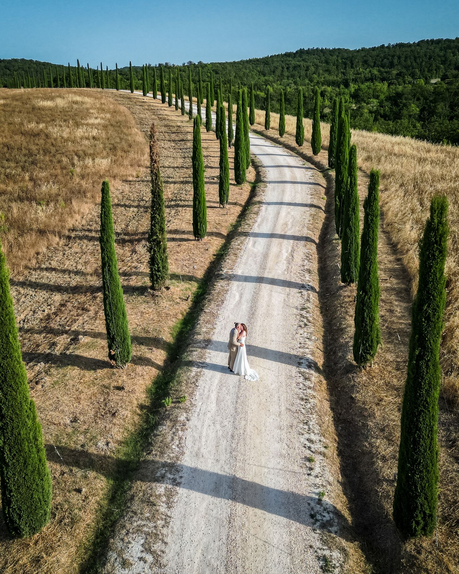 Aerial view of a couple sharing a kiss on a cypress-lined Tuscan gravel road surrounded by golden fields.