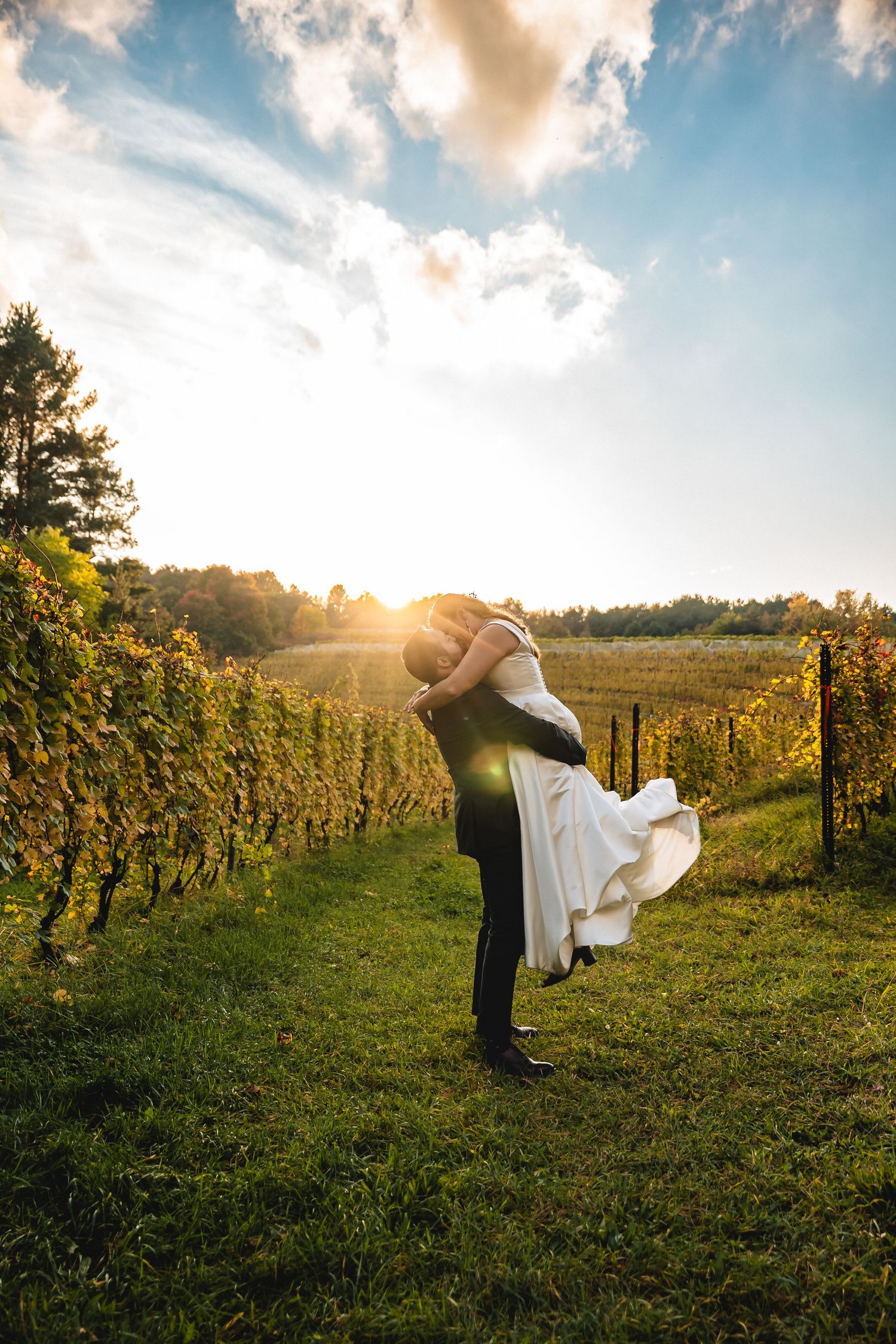 A romantic sunset moment in a vineyard with golden light streaming through grapevines on a beautiful autumn evening.