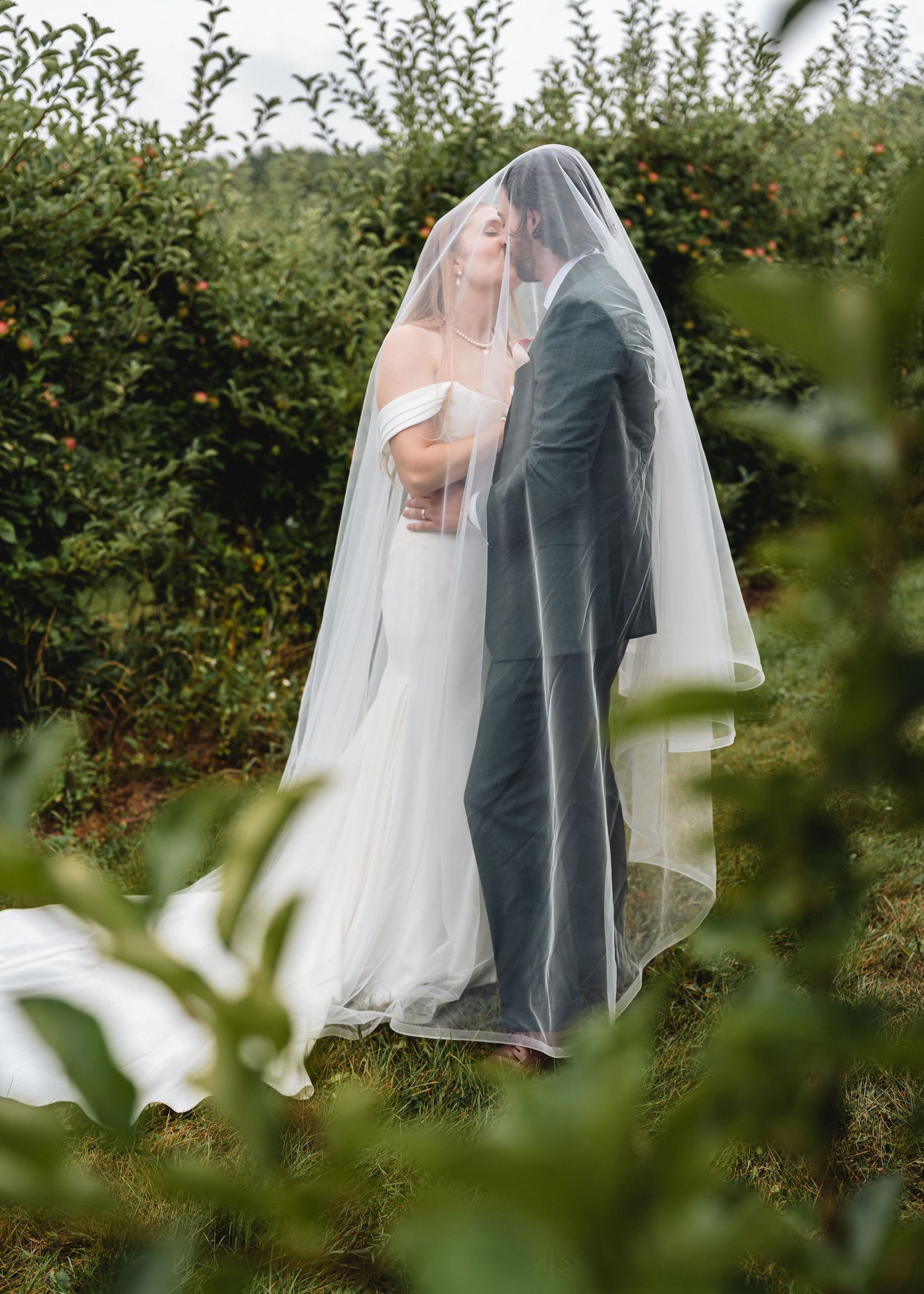Bride and groom sharing a romantic kiss under a flowing veil in a lush green orchard on their wedding day.