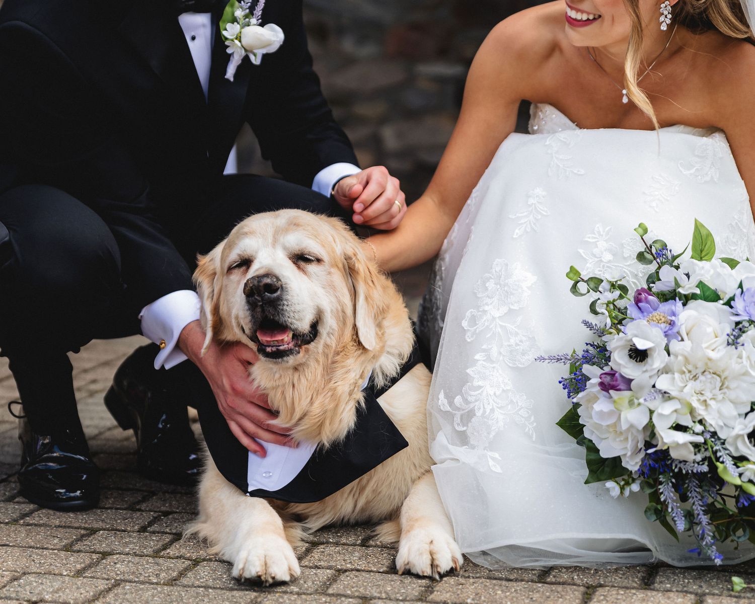 Golden retriever dog wearing a tuxedo sits between a bride and groom on their wedding day.