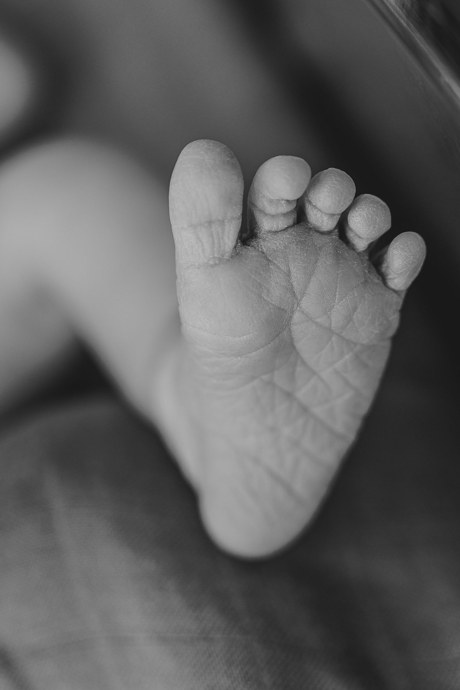 Fresh newborn foot in a westminster, colorado hospital fresh 48 shoot