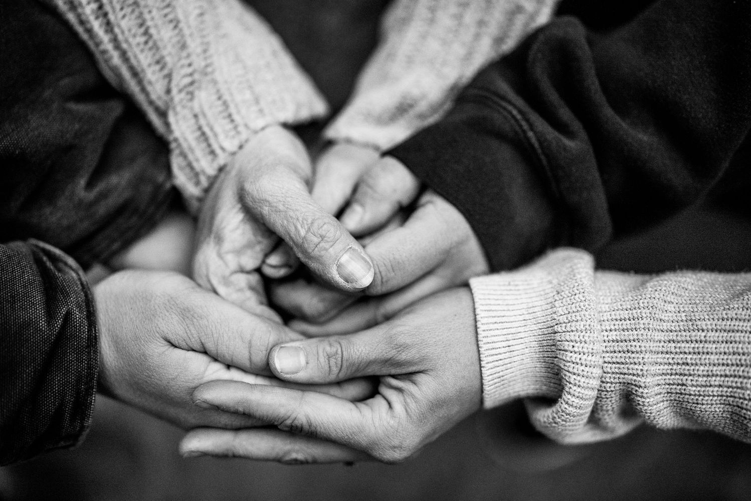Black and white photo showing hands gently holding a small bird while checking its wing.