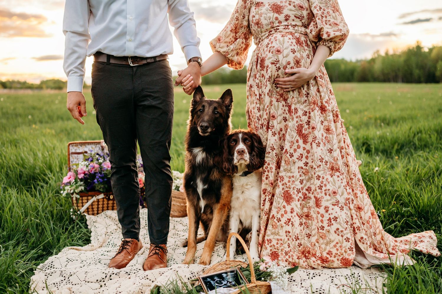 Couple stands with their German Shepherd and Bernese Mountain dogs during sunset picnic in flowery meadow.