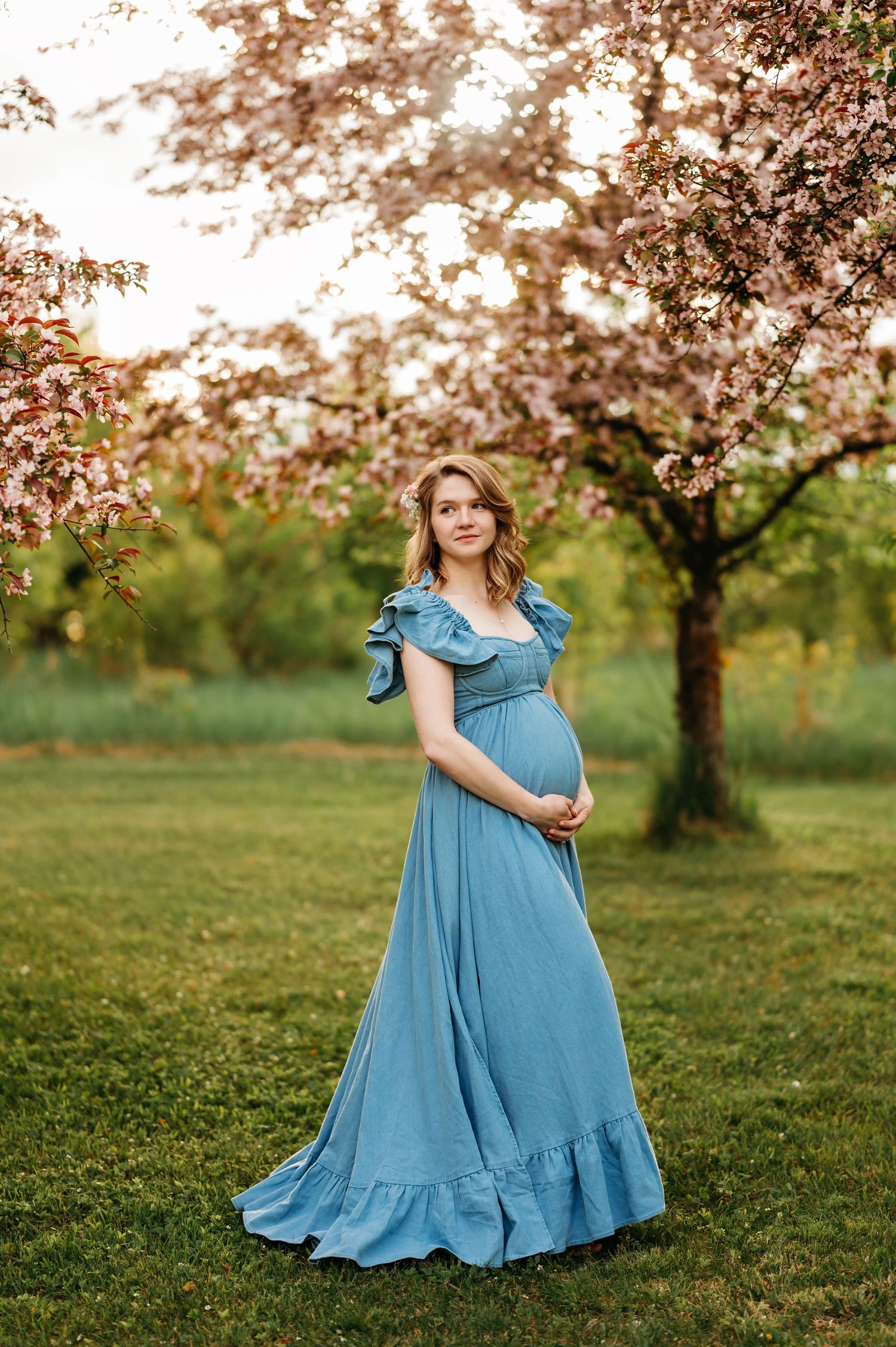 Someone in a flowing blue maternity gown stands gracefully in a blooming spring orchard with cherry blossoms overhead.