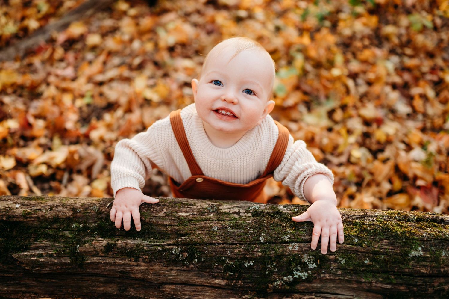 Set of six seasonal outdoor autumn photos showing a playful interaction with a fallen mossy log surrounded by orange leaves.