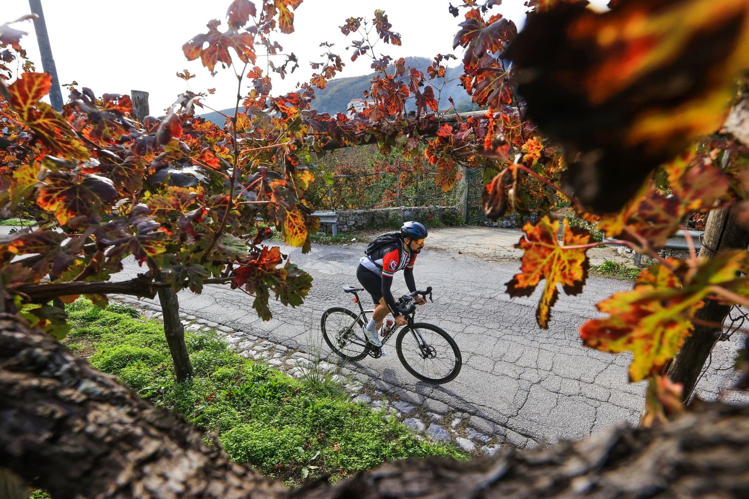 Cycle - Cycling