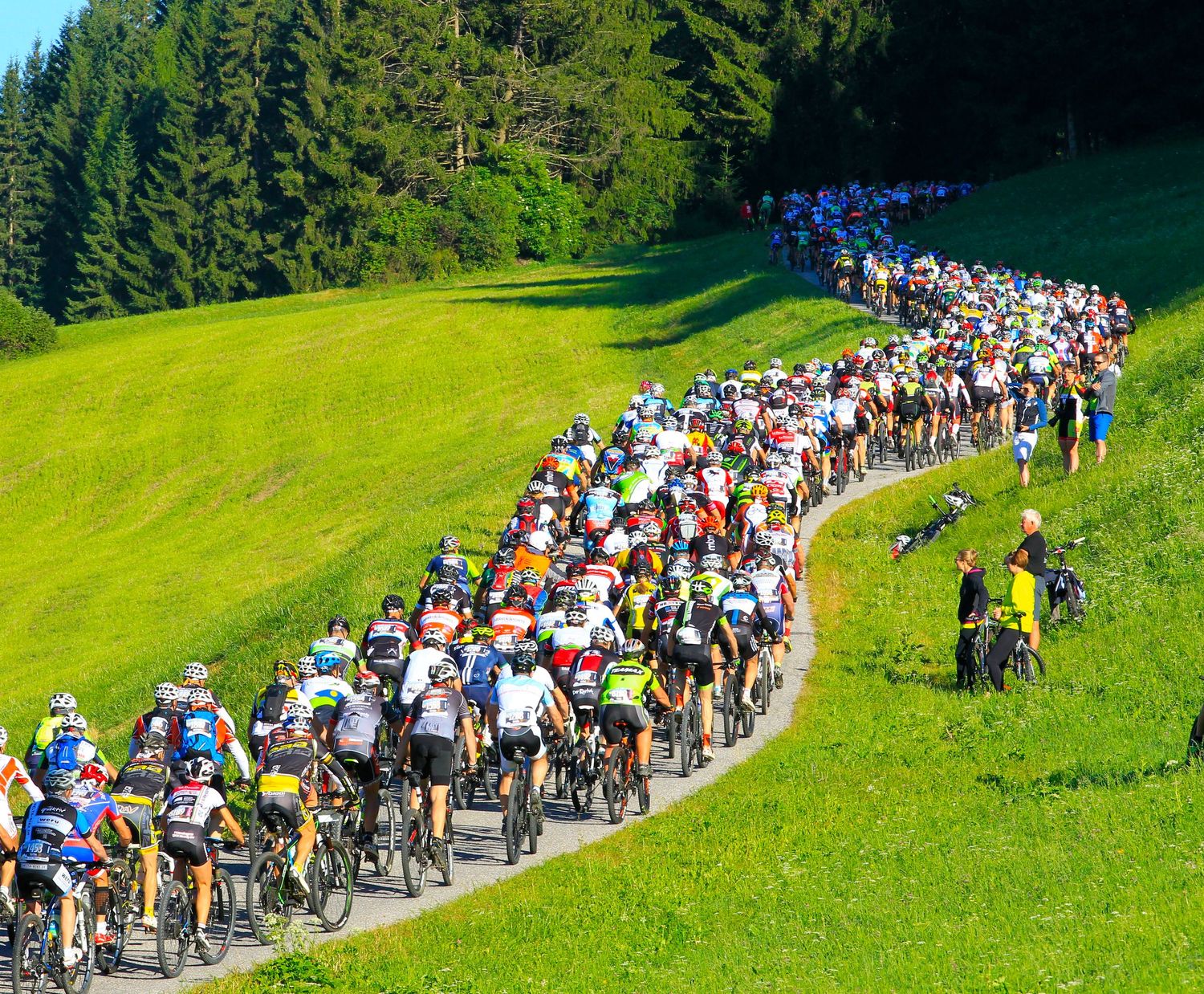 MTB - Biker