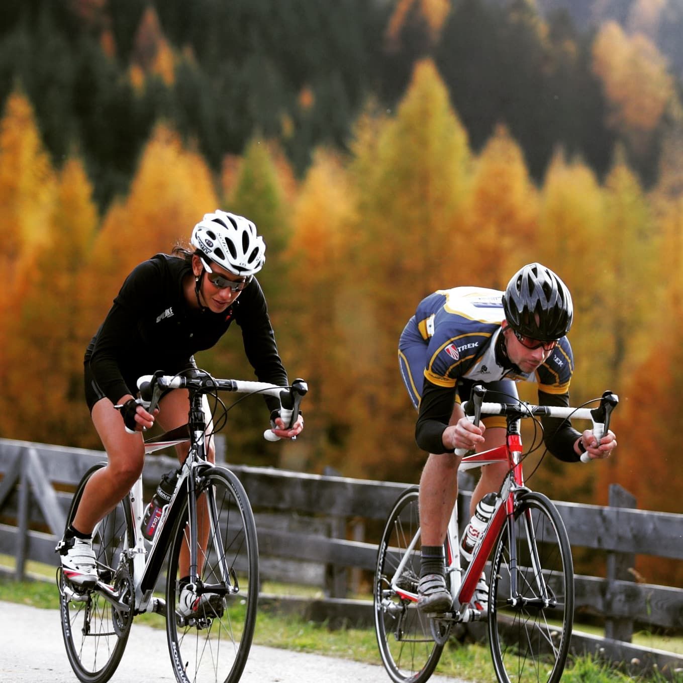 Sport - Cycling