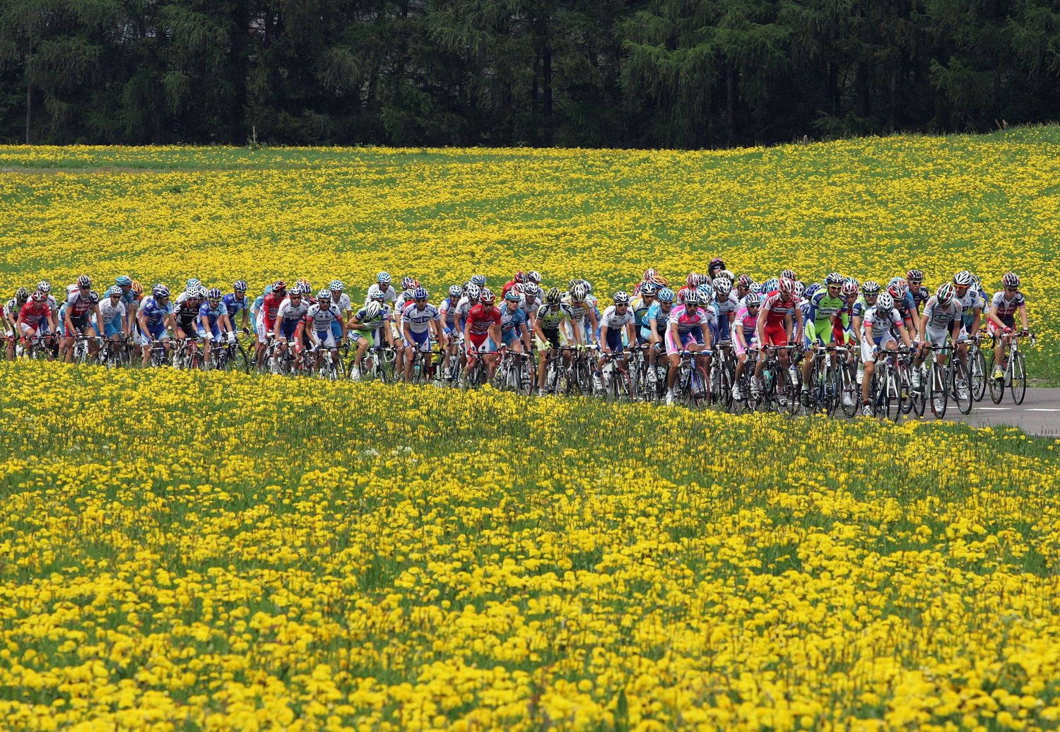 Sport - Cycling - Giro d'italia - Tour de France