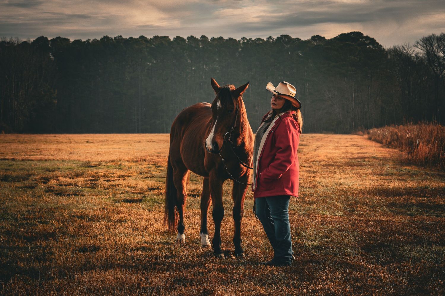 Summer photo session. Horse girl