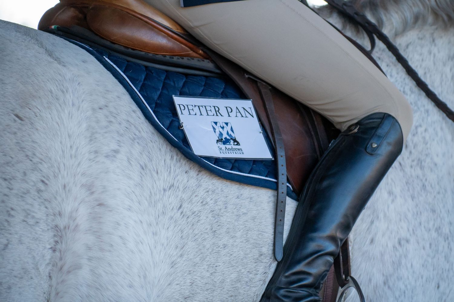 Equine Show, Horse Show. SAU, St. Andrews University. Hunter Seat Show