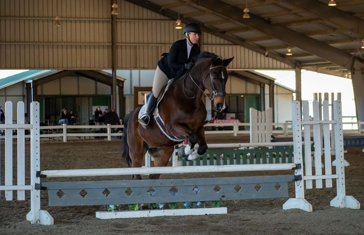 Horse, Horse Show. Equine Sports. St. Andrews University, SAU, Knight Nation.