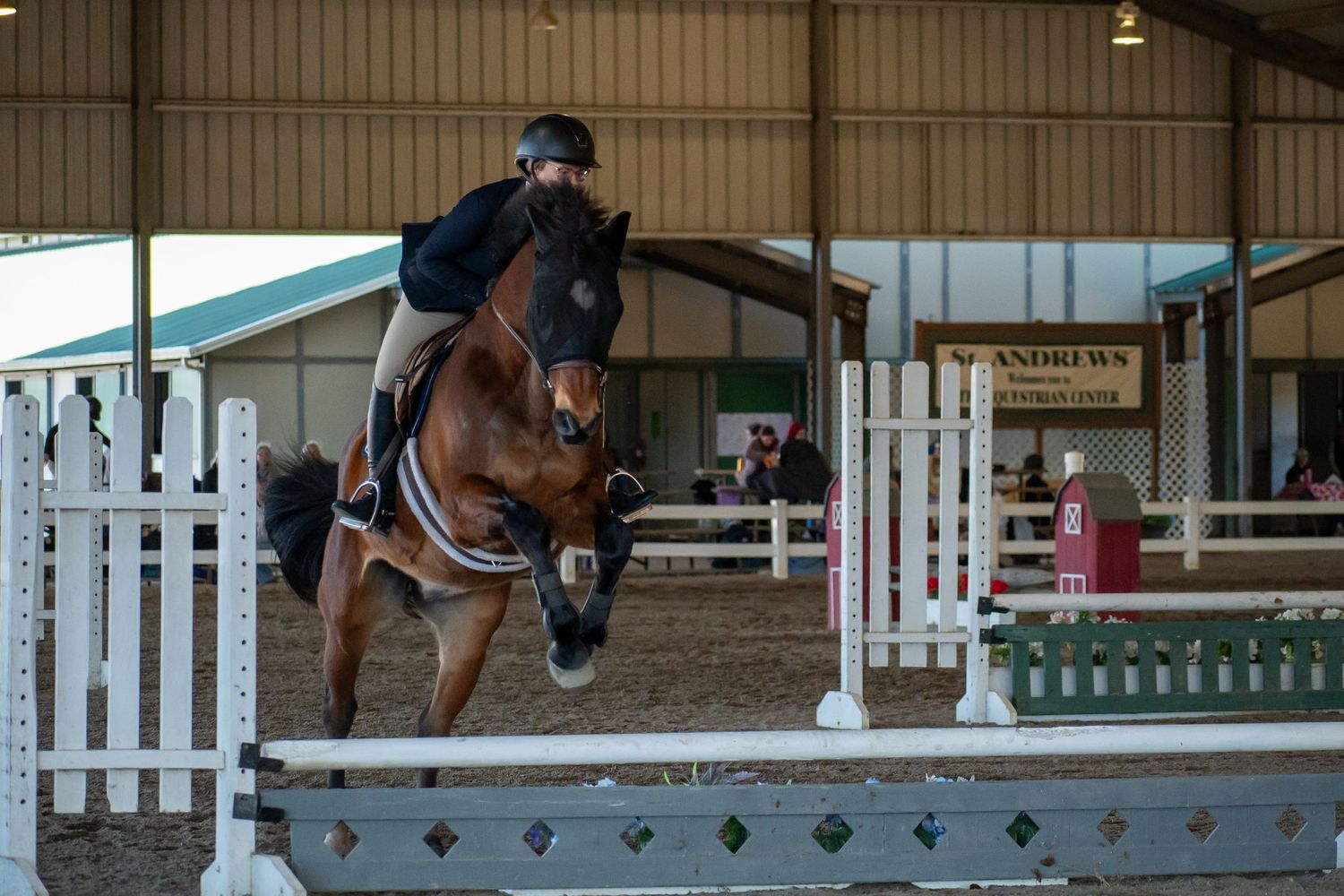 Horse, Horse Show. Equine Sports. St. Andrews University, SAU, Knight Nation.