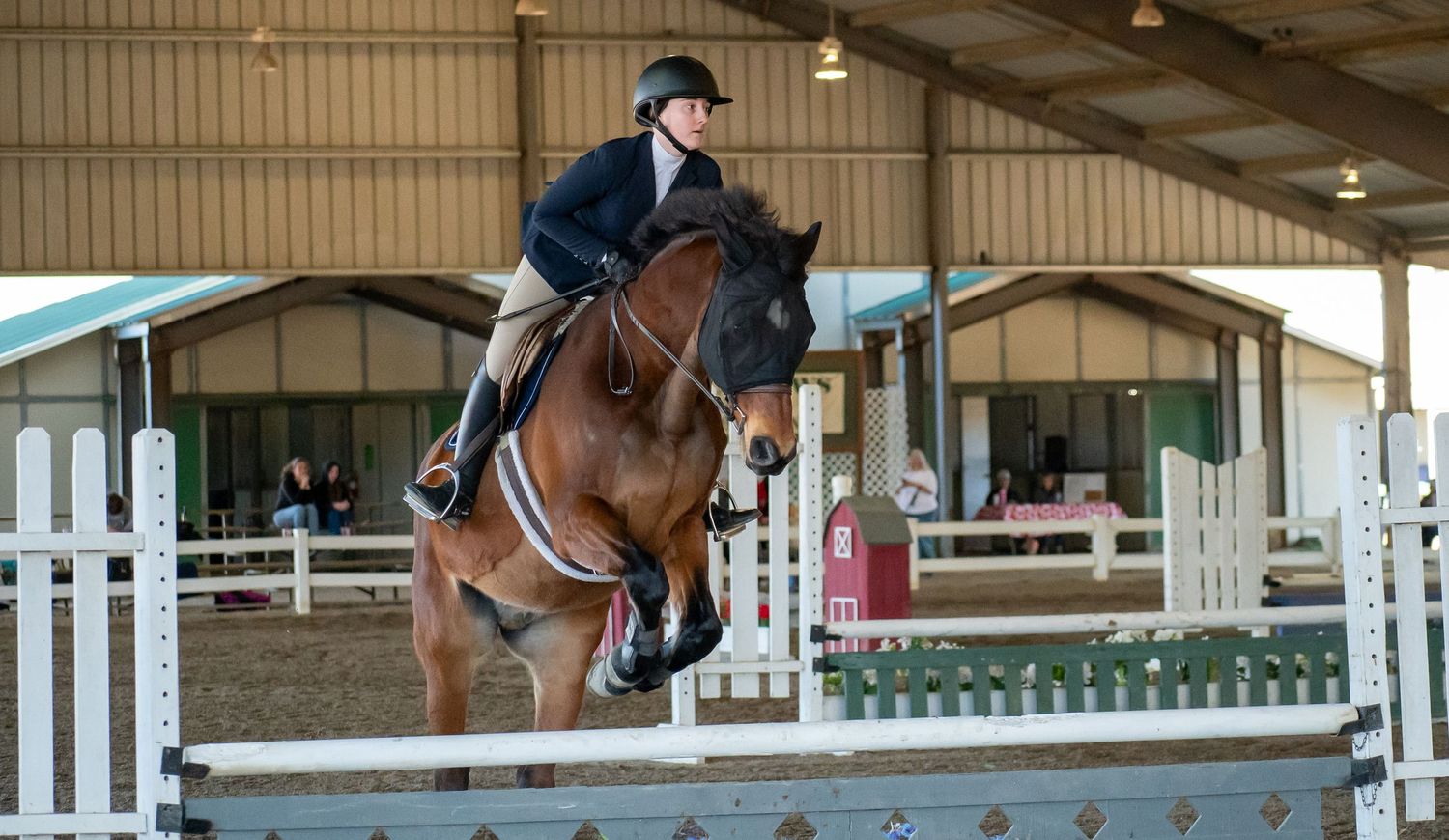 Horse, Horse Show. Equine Sports. St. Andrews University, SAU, Knight Nation.