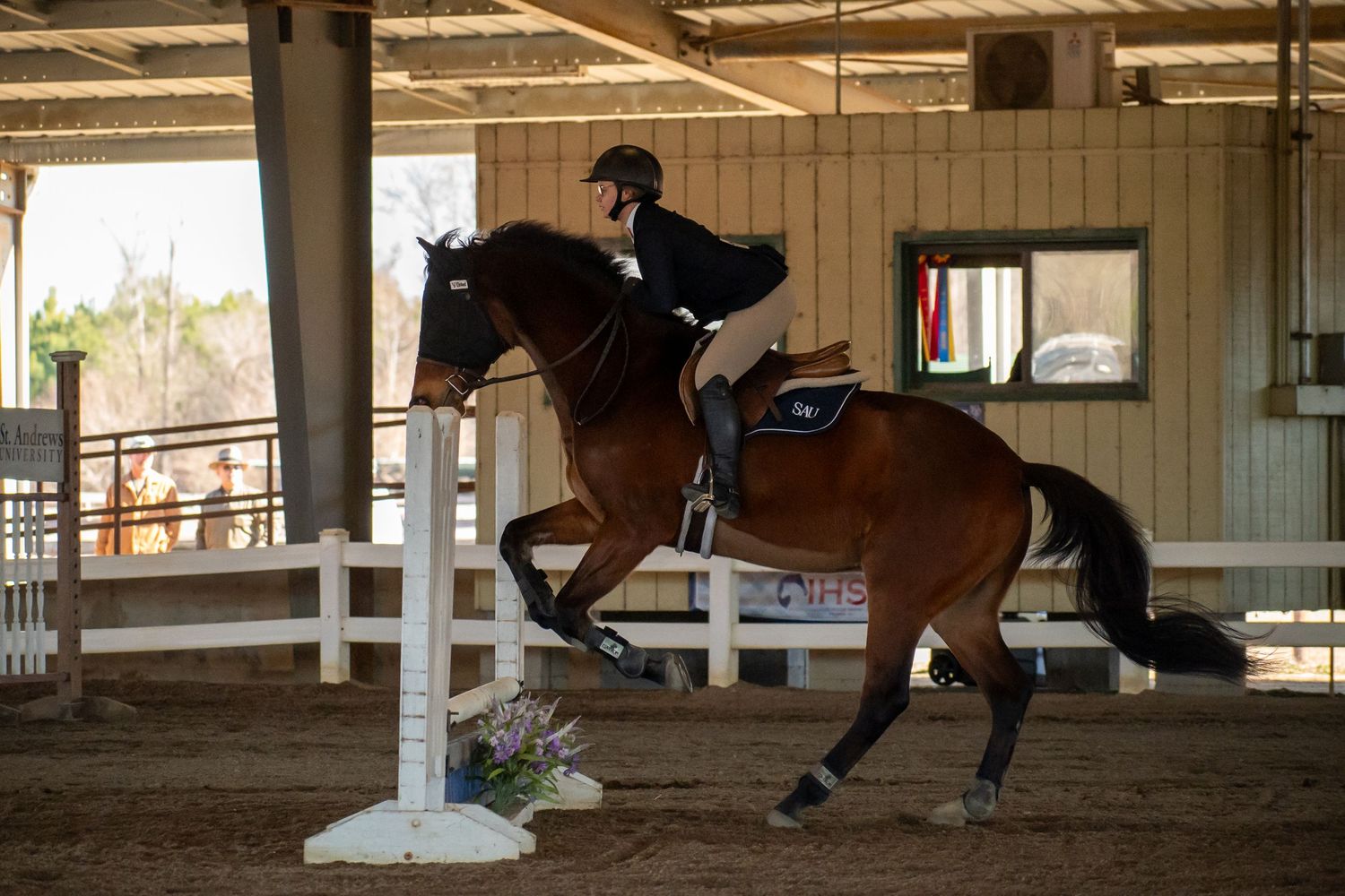 Horse, Horse Show. Equine Sports. St. Andrews University, SAU, Knight Nation.