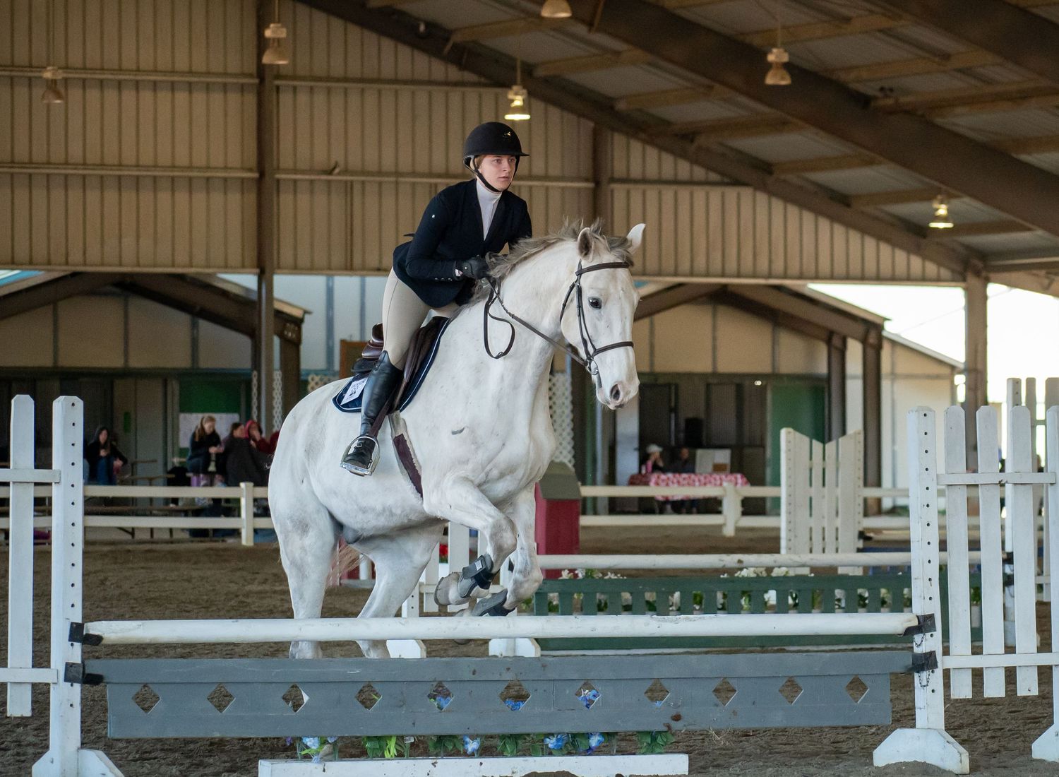 Horse, Horse Show. Equine Sports. St. Andrews University, SAU, Knight Nation.