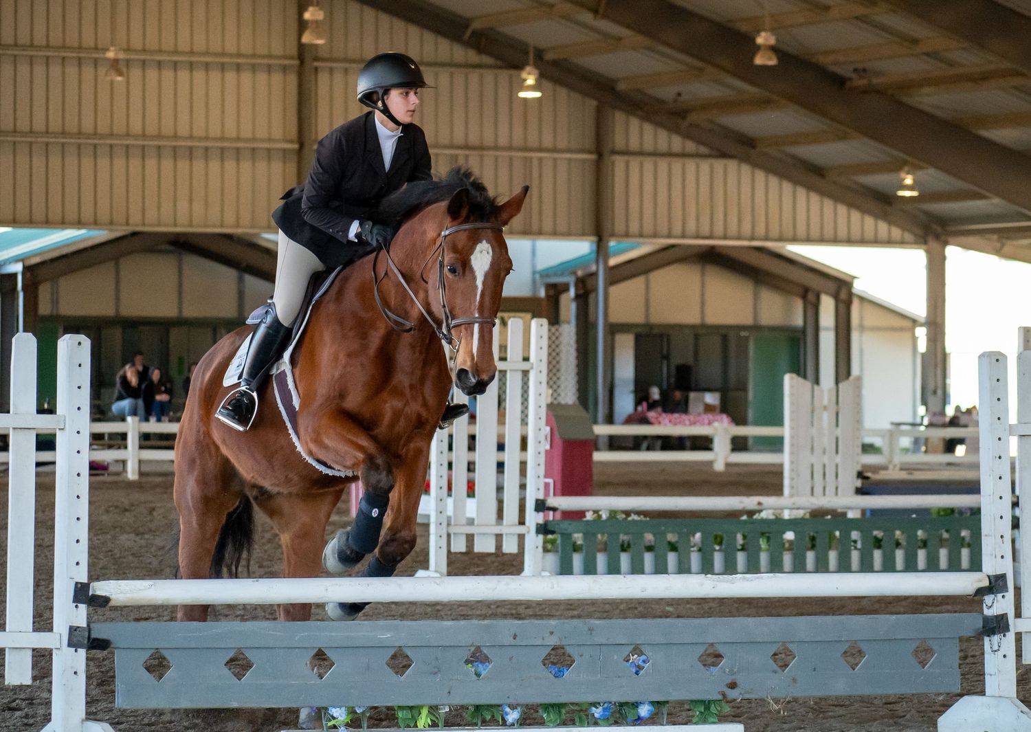 Horse, Horse Show. Equine Sports. St. Andrews University, SAU, Knight Nation.