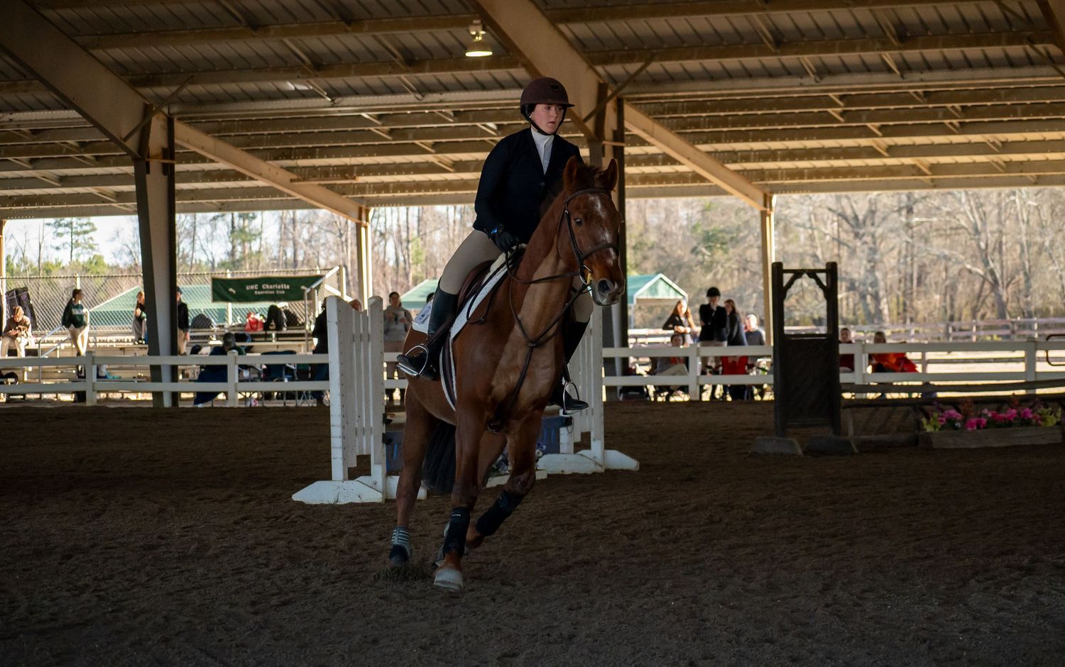 Horse, Horse Show. Equine Sports. St. Andrews University, SAU, Knight Nation.