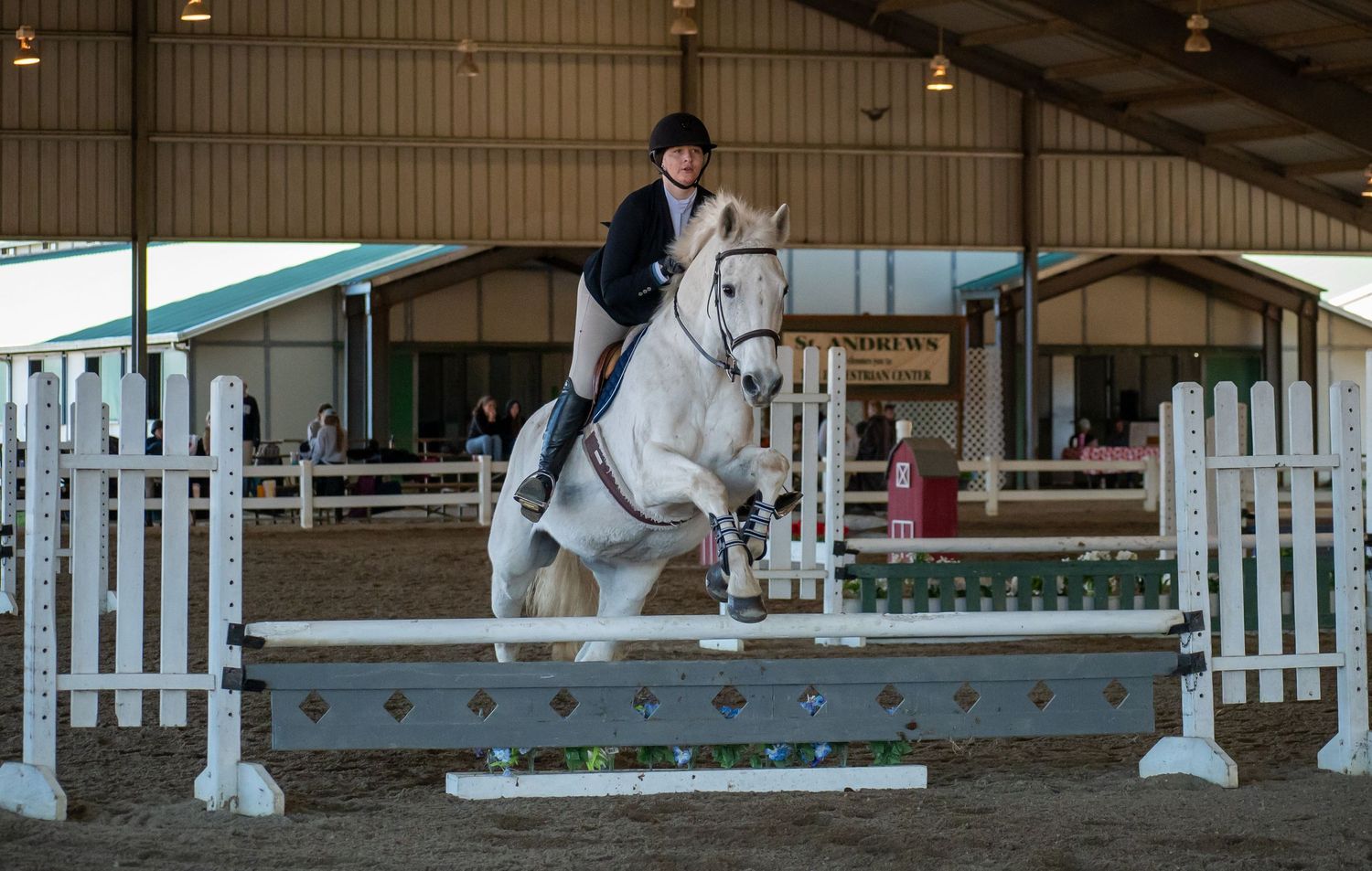 Horse, Horse Show. Equine Sports. St. Andrews University, SAU, Knight Nation.
