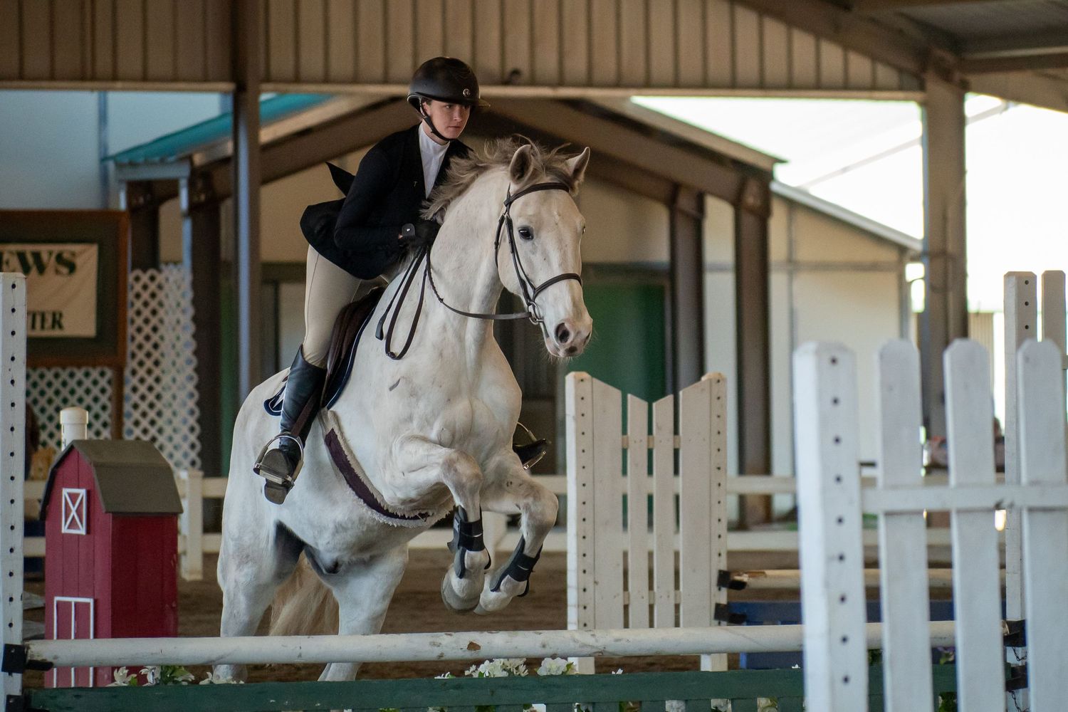 Horse, Horse Show. Equine Sports. St. Andrews University, SAU, Knight Nation.