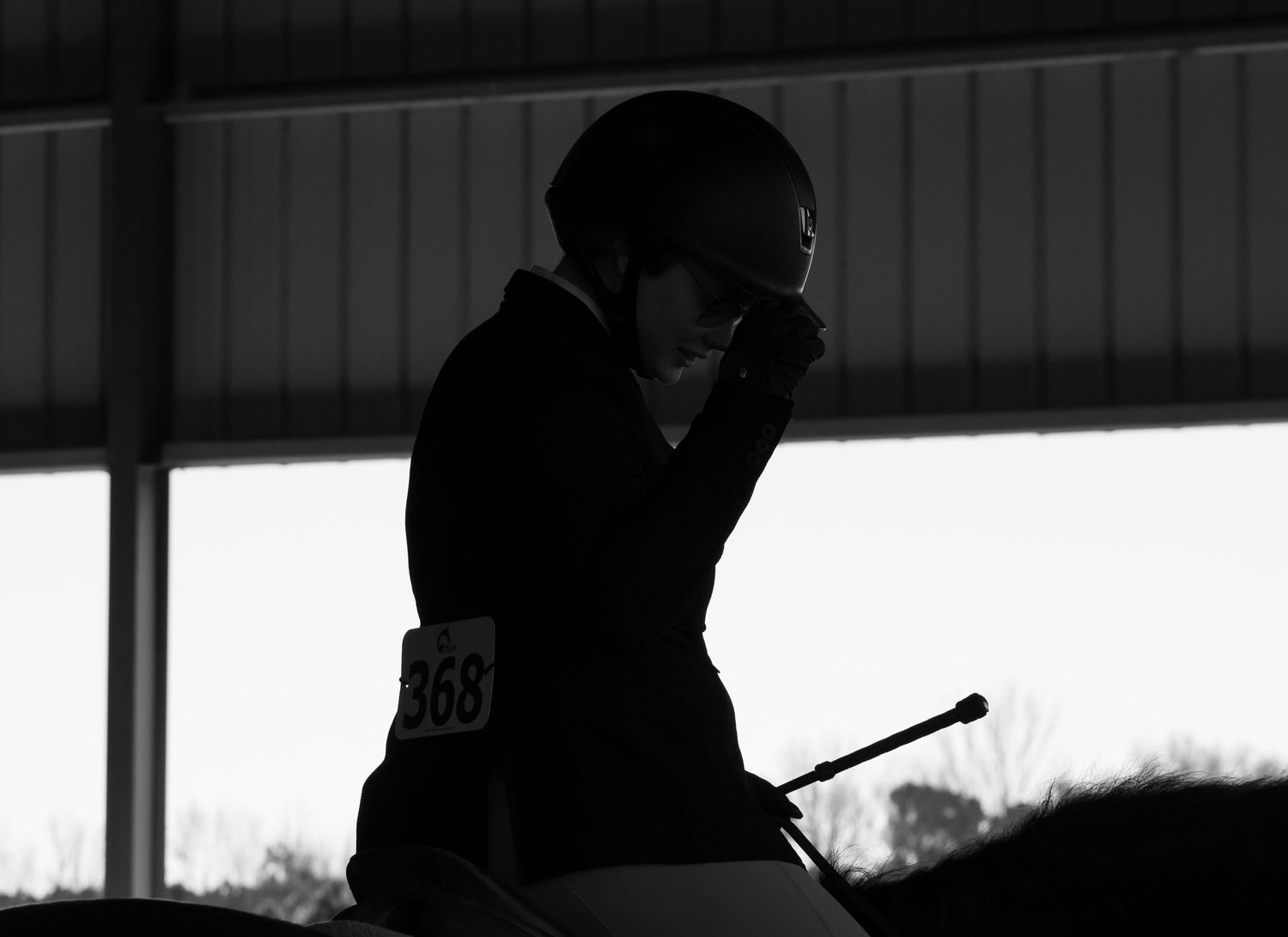 Equine Rider. Horse Show, SAU, St. Andrews University, knight Nation