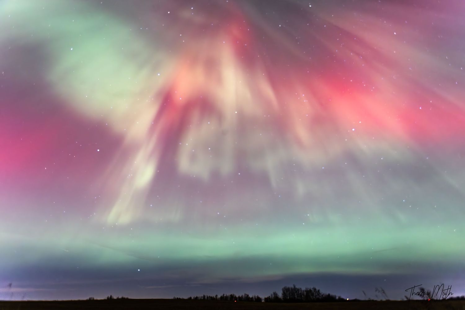 Stunning aurora borealis display with vivid pink, green, and white lights dancing across the night sky over a dark horizon.