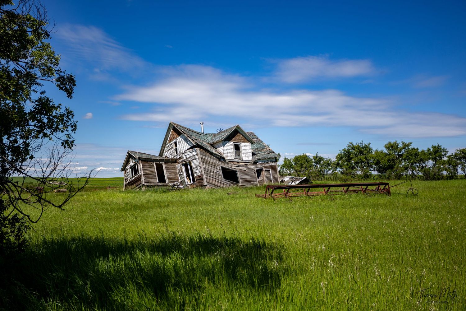 Abandoned dilapidated farmhouse leaning sideways in lush green prairie grass under a bright blue sky.