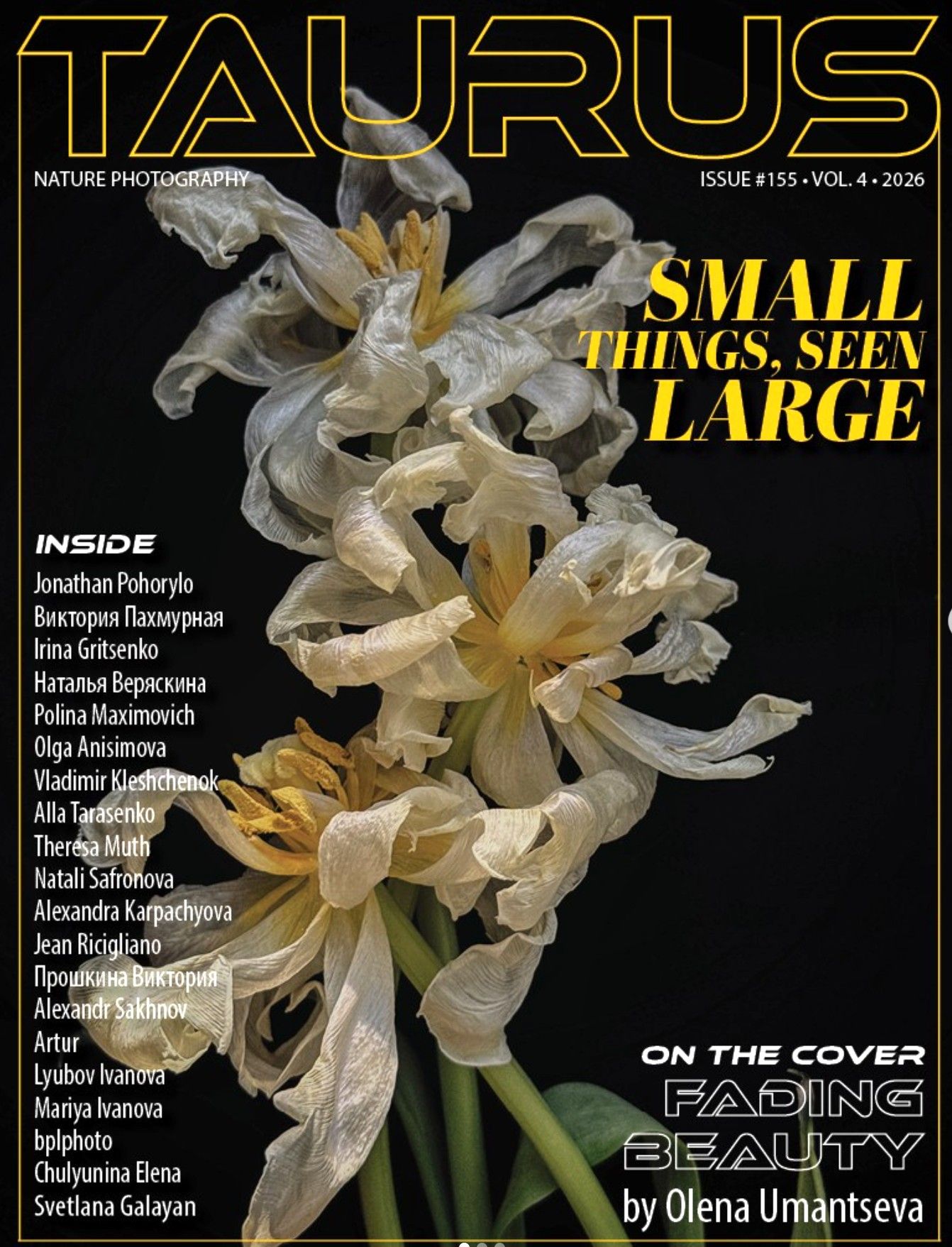 Taurus Nature Photography magazine cover Issue 155 featuring a fading white flower close-up with text Small Things Seen Large.