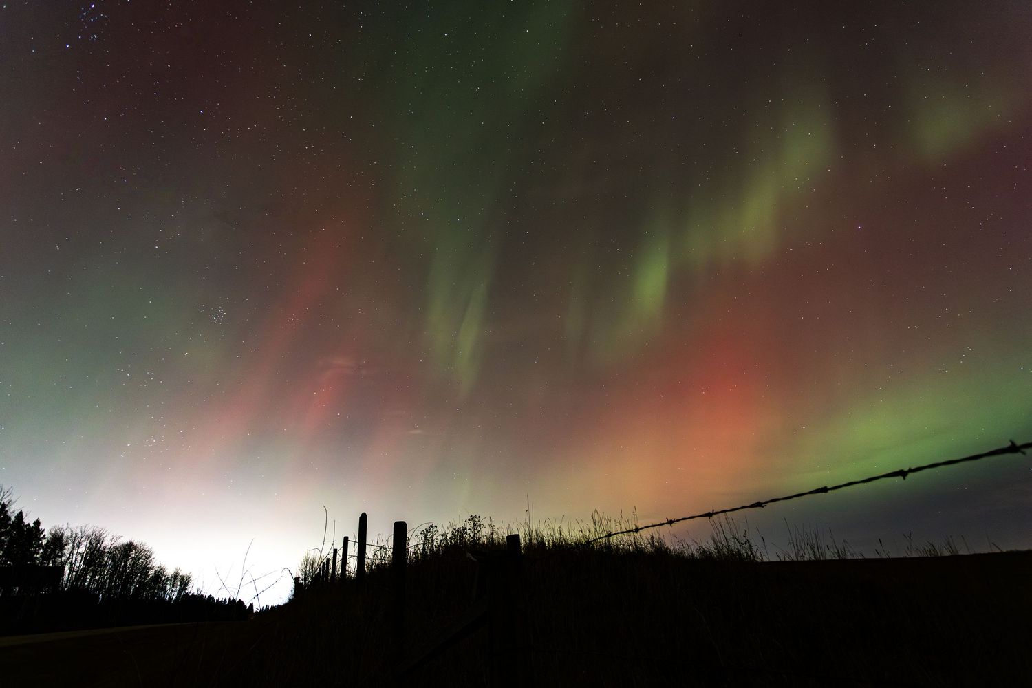 Colorful aurora borealis in green and red fills the night sky above a silhouetted treeline and fence in a rural landscape.