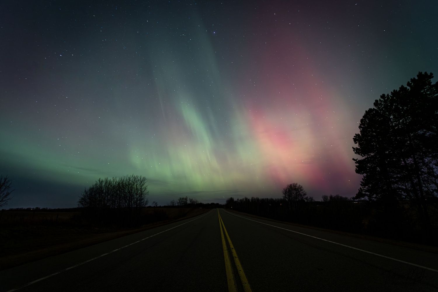 Breathtaking aurora borealis in green and pink hues stretches across the night sky above a straight rural road lined with trees.