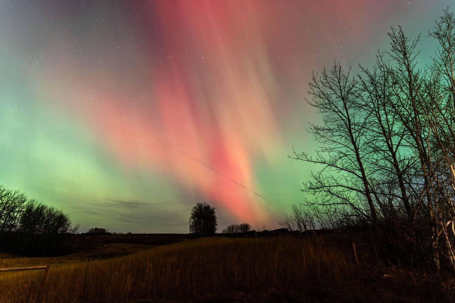 Vibrant pink and green aurora borealis illuminating the night sky over a rural landscape.