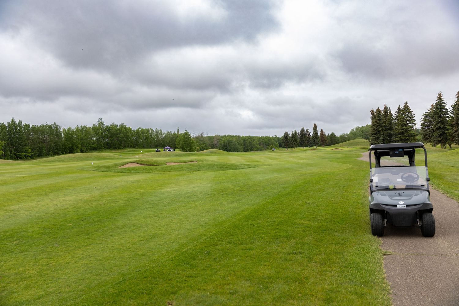 A golf cart parked beside a lush green fairway on a cloudy day, surrounded by trees at a golf course.