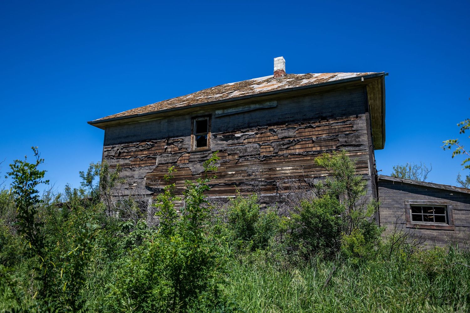 Abandoned two-story wooden farmhouse with weathered siding, surrounded by overgrown shrubs under a clear blue sky.
