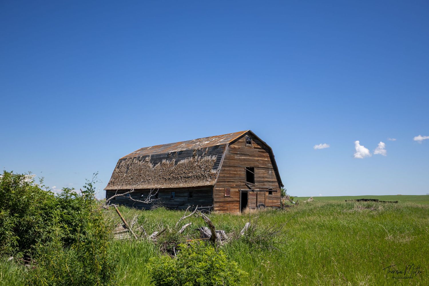 Weathered old wooden barn with a sagging roof stands in a lush green prairie field under a bright blue sky.
