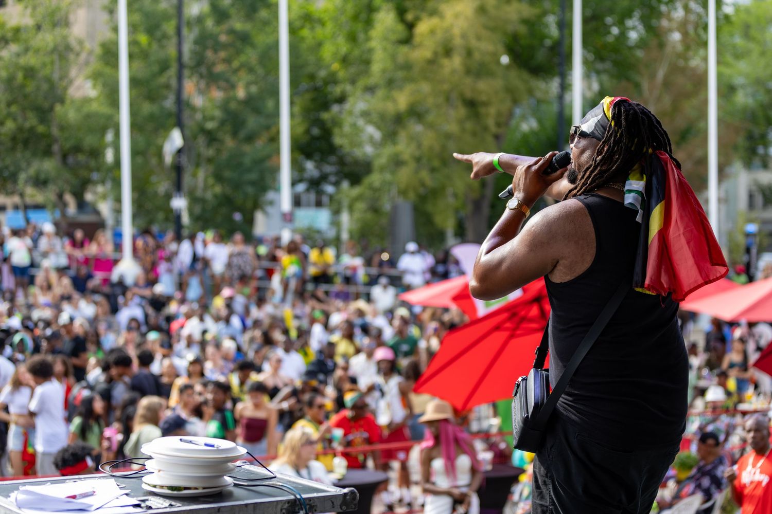 Performer singing on stage with flag draped over shoulders at large outdoor music festival crowd.