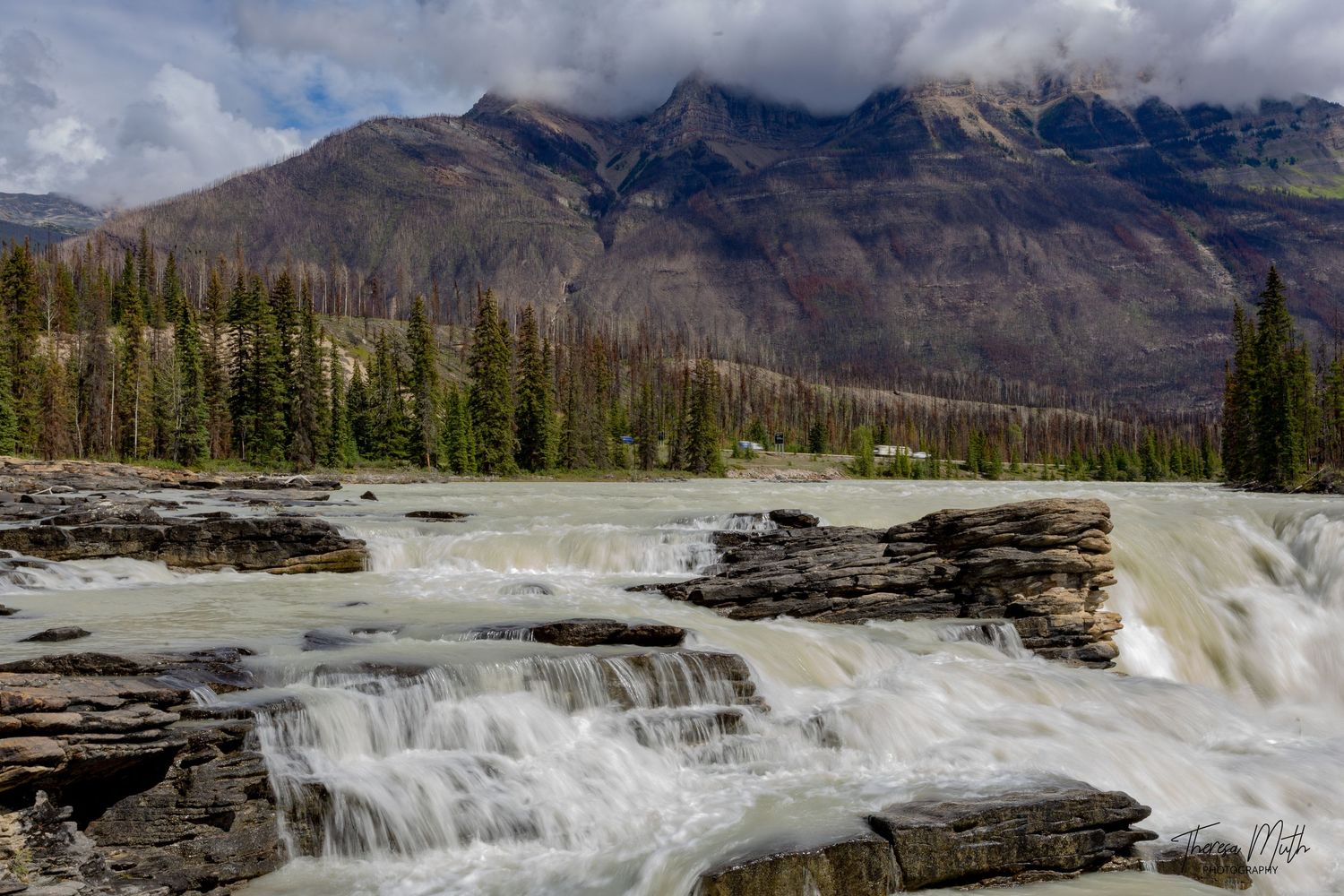 Powerful Athabasca Falls cascading over rocky ledges with mountain backdrop and evergreen forest.