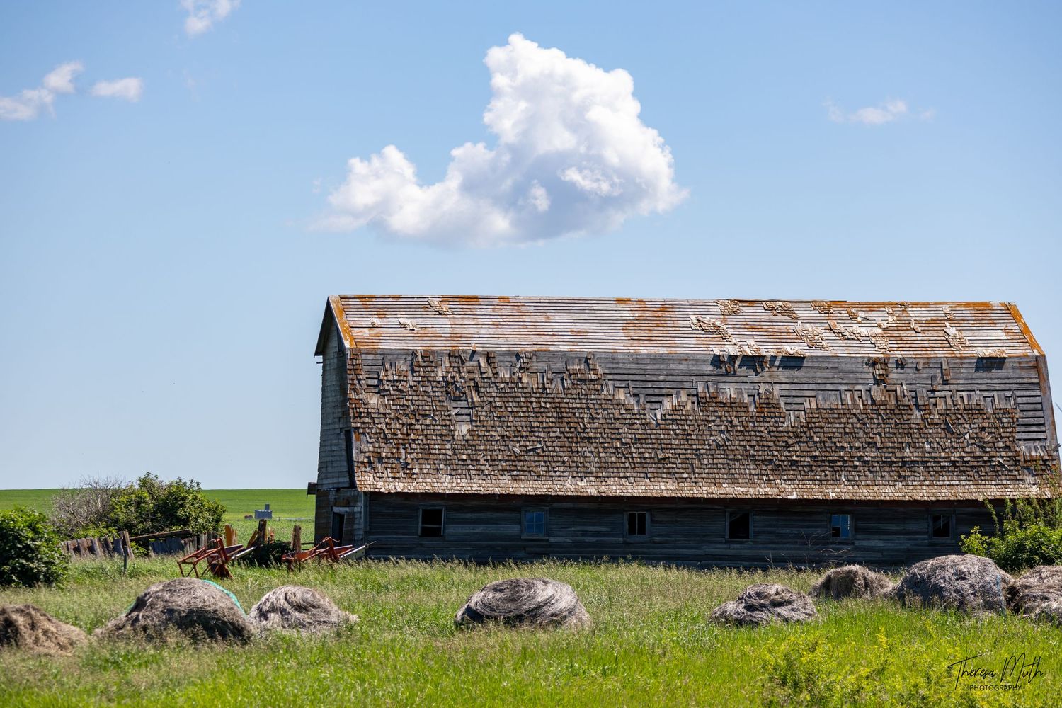 Weathered old barn with rusty metal roof sits in lush green prairie field under blue sky with white clouds.