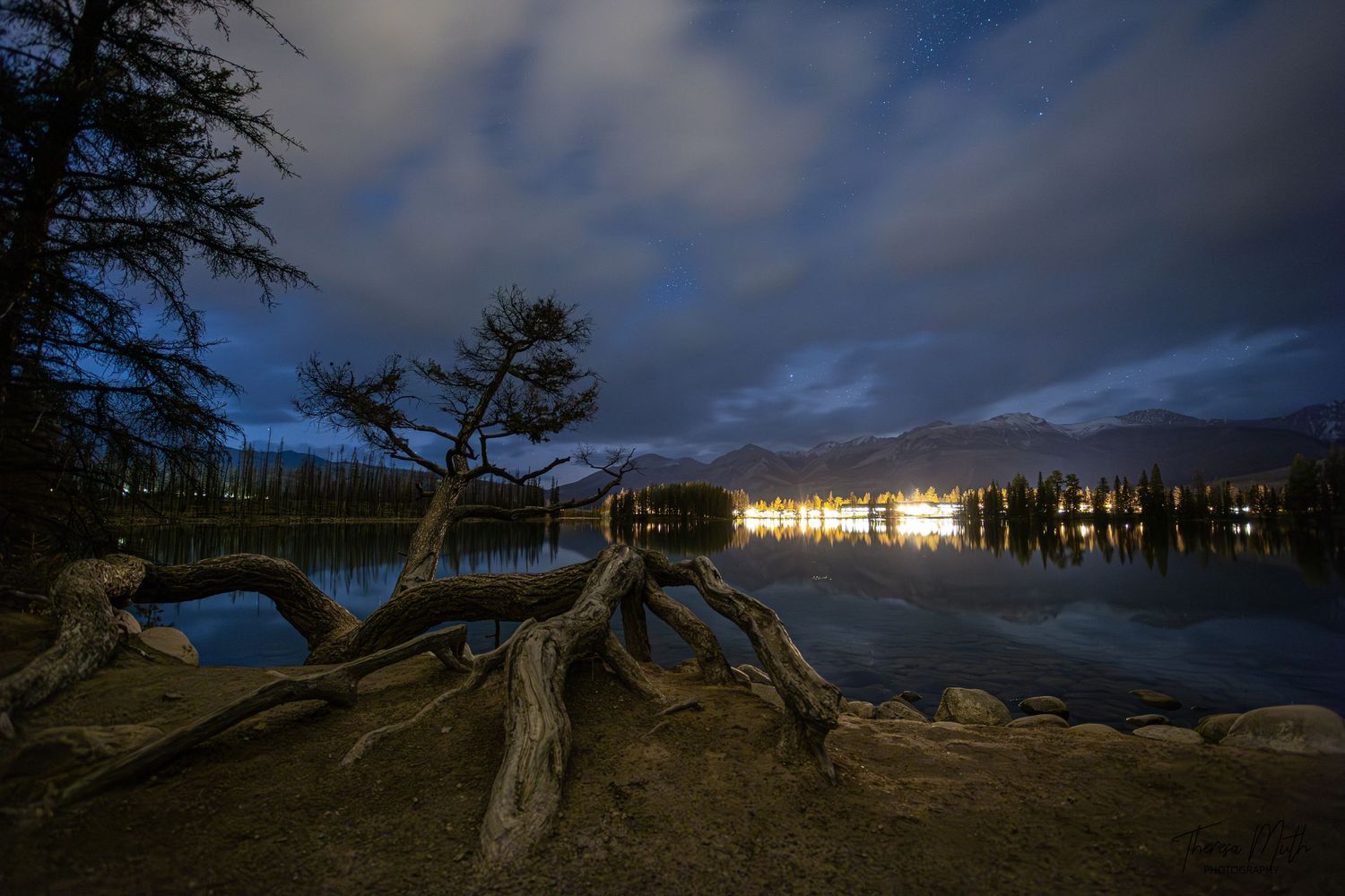 Fallen tree with exposed roots frames a calm lake reflecting distant lights under a cloudy night sky.
