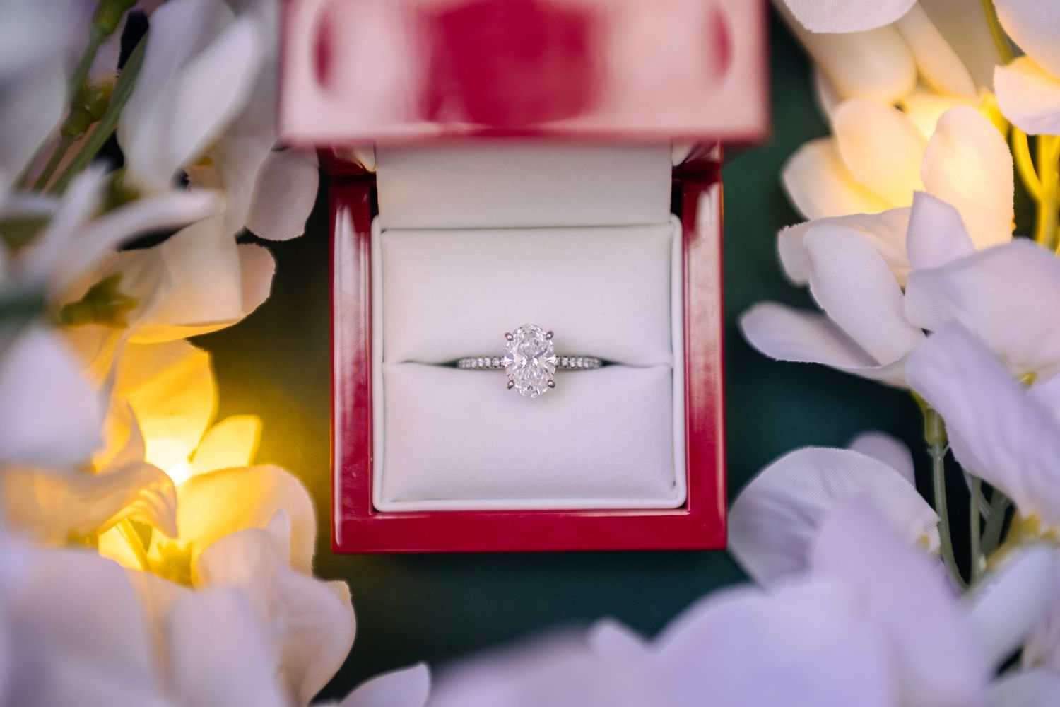 A sparkling diamond engagement ring nestled among delicate white flower petals and soft lighting.