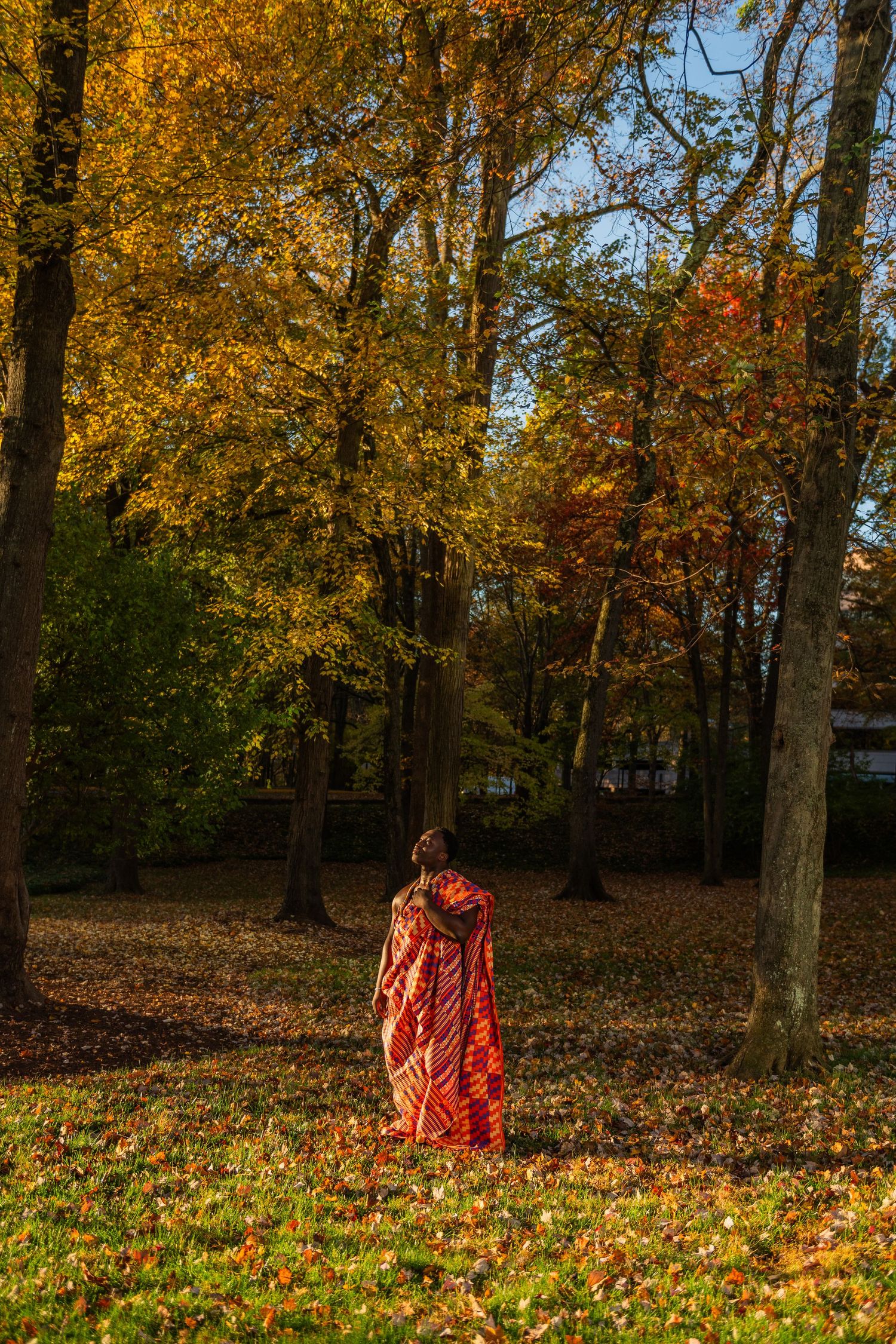Person in bright red coat standing among autumn trees with fallen leaves on the ground.