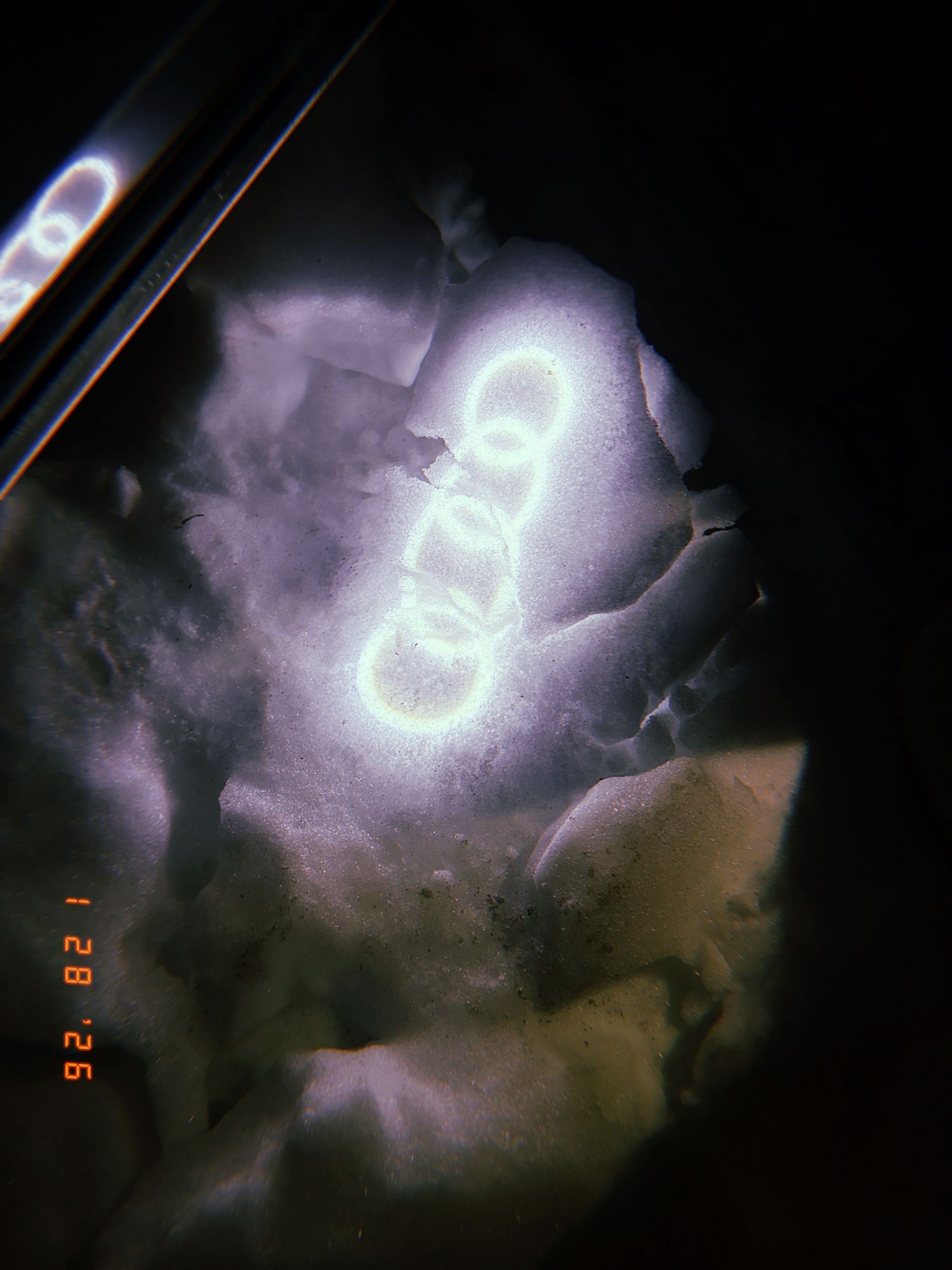 A glowing neon number 9 sign illuminated against a dark background with purple smoke effects and a vintage timestamp.