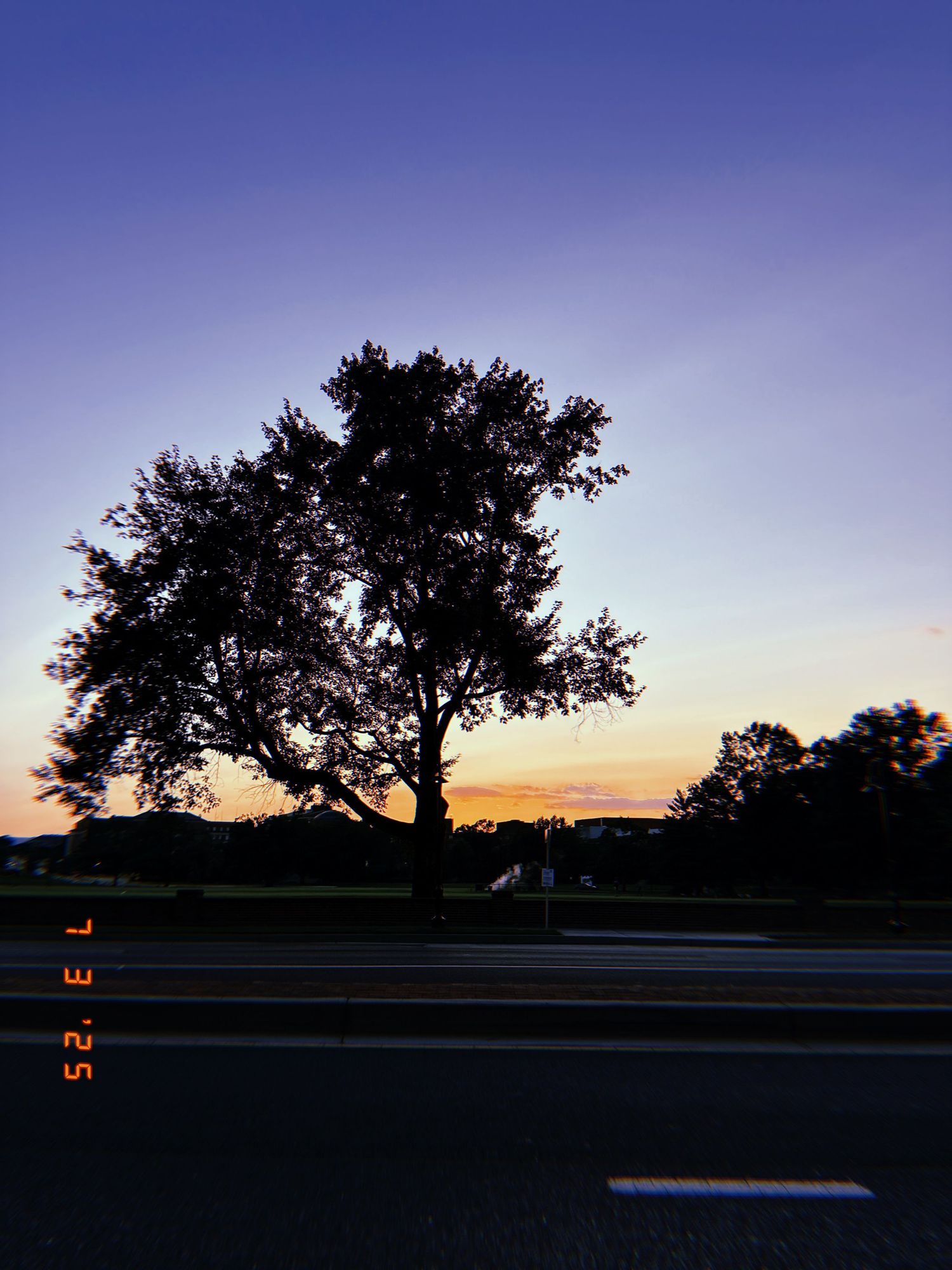 Silhouette of a large tree against vibrant sunset sky with road in foreground and date stamp overlay.