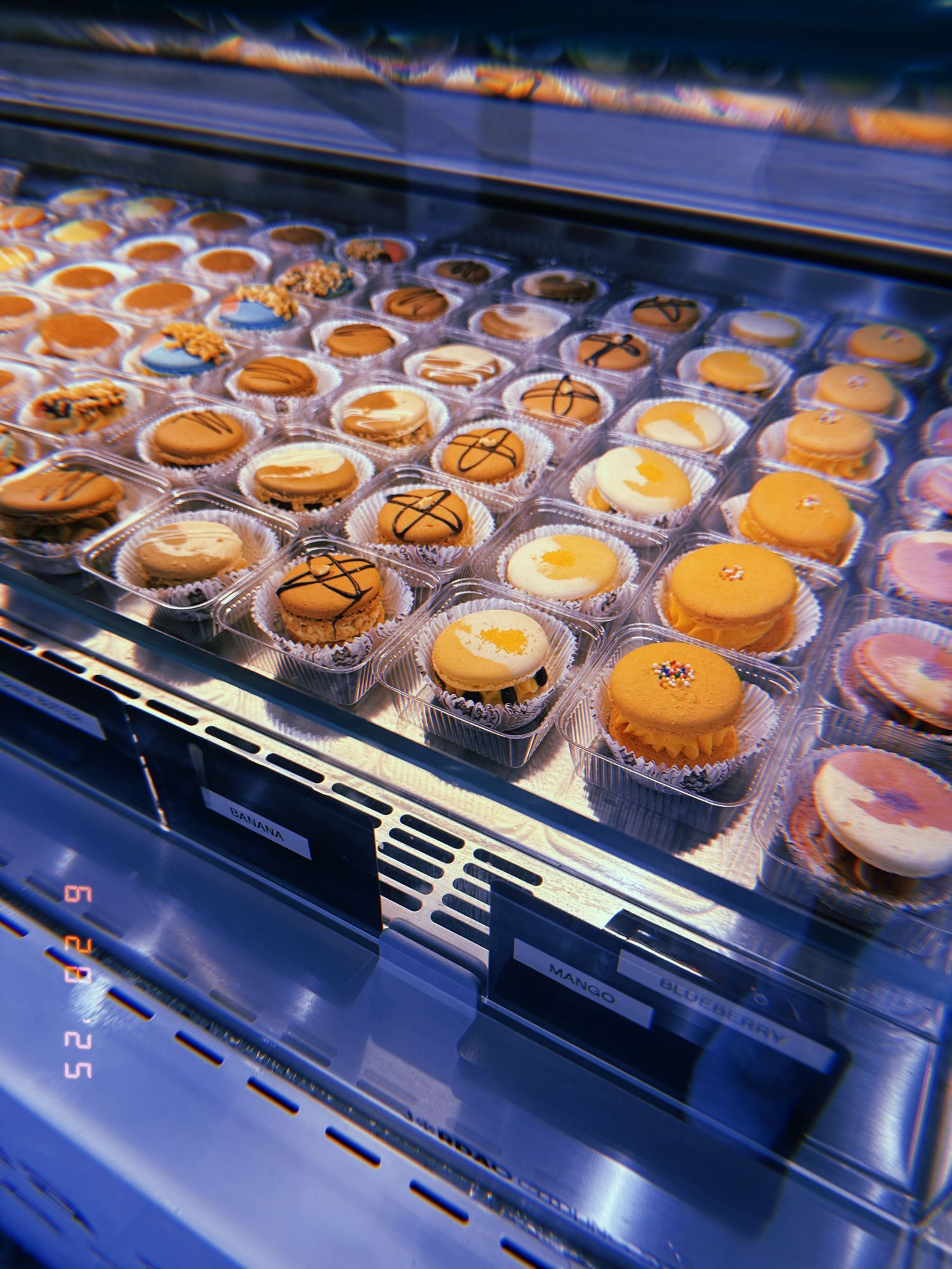 Rows of colorful cupcakes with various toppings displayed in a glass bakery case under blue lighting.