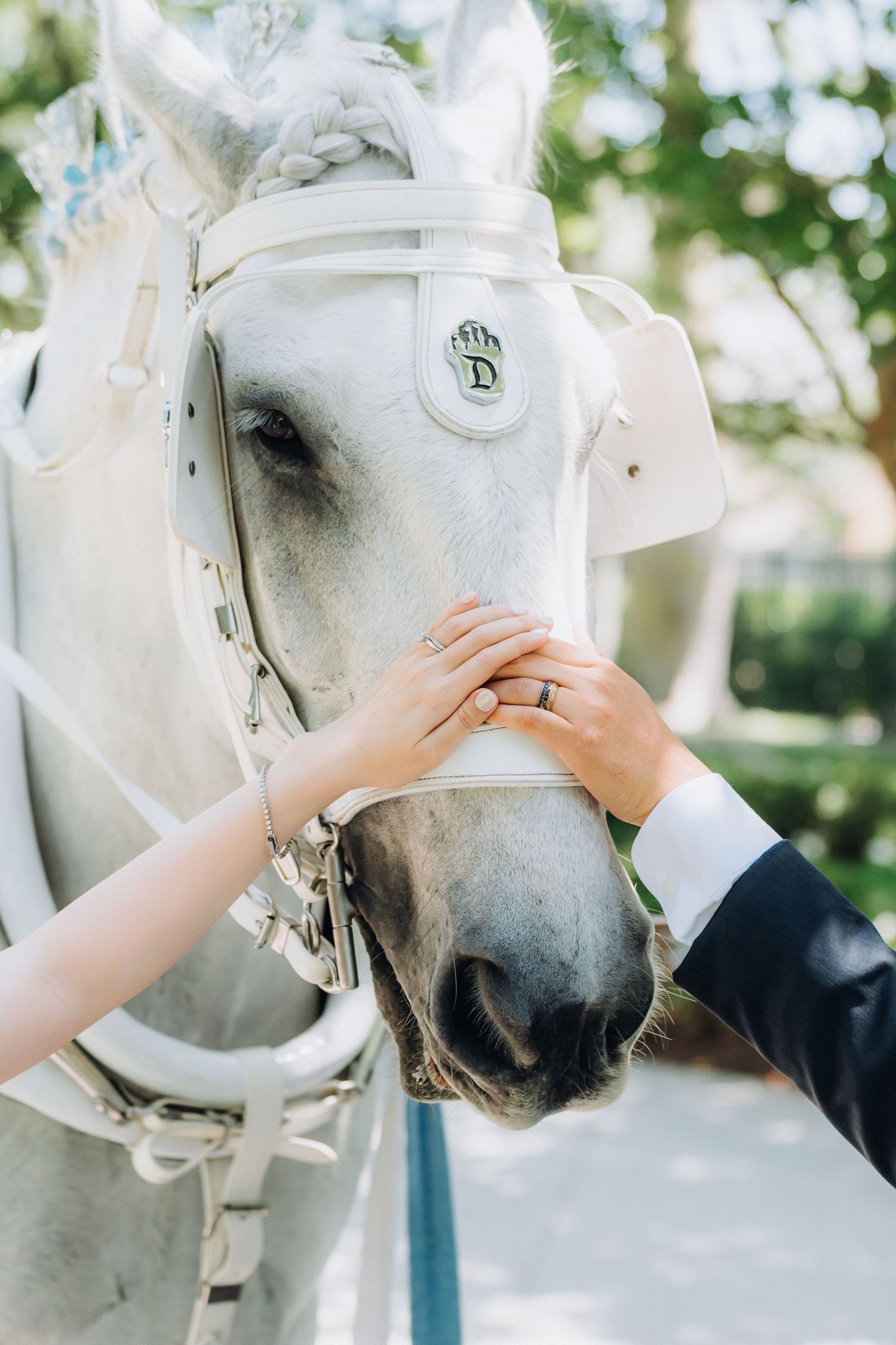 Bride and groom's hands with wedding rings resting on a white horse's nose at an elegant outdoor wedding.