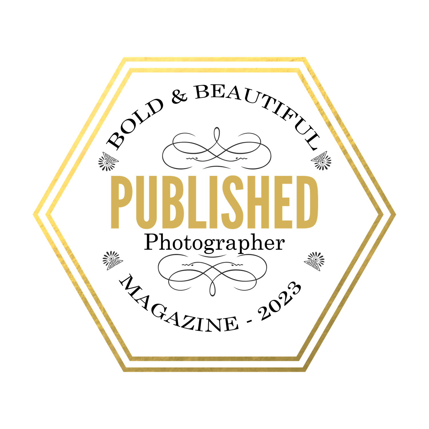 A row of elegant gold and white hexagonal badges featuring text about publishing and photography on a white background.