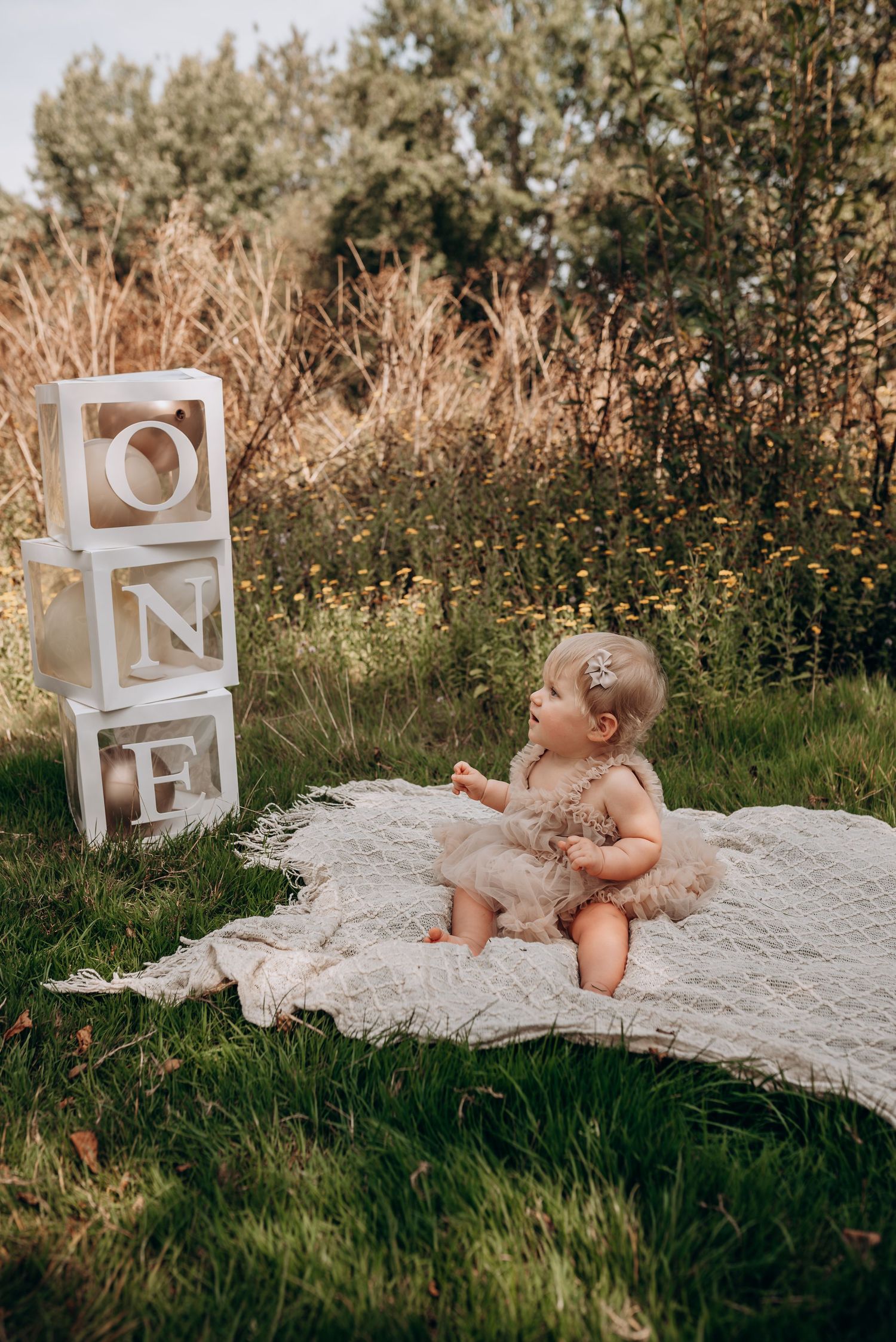 A baby sits on blanket outdoors with decorative ONE blocks and wildflowers in background.