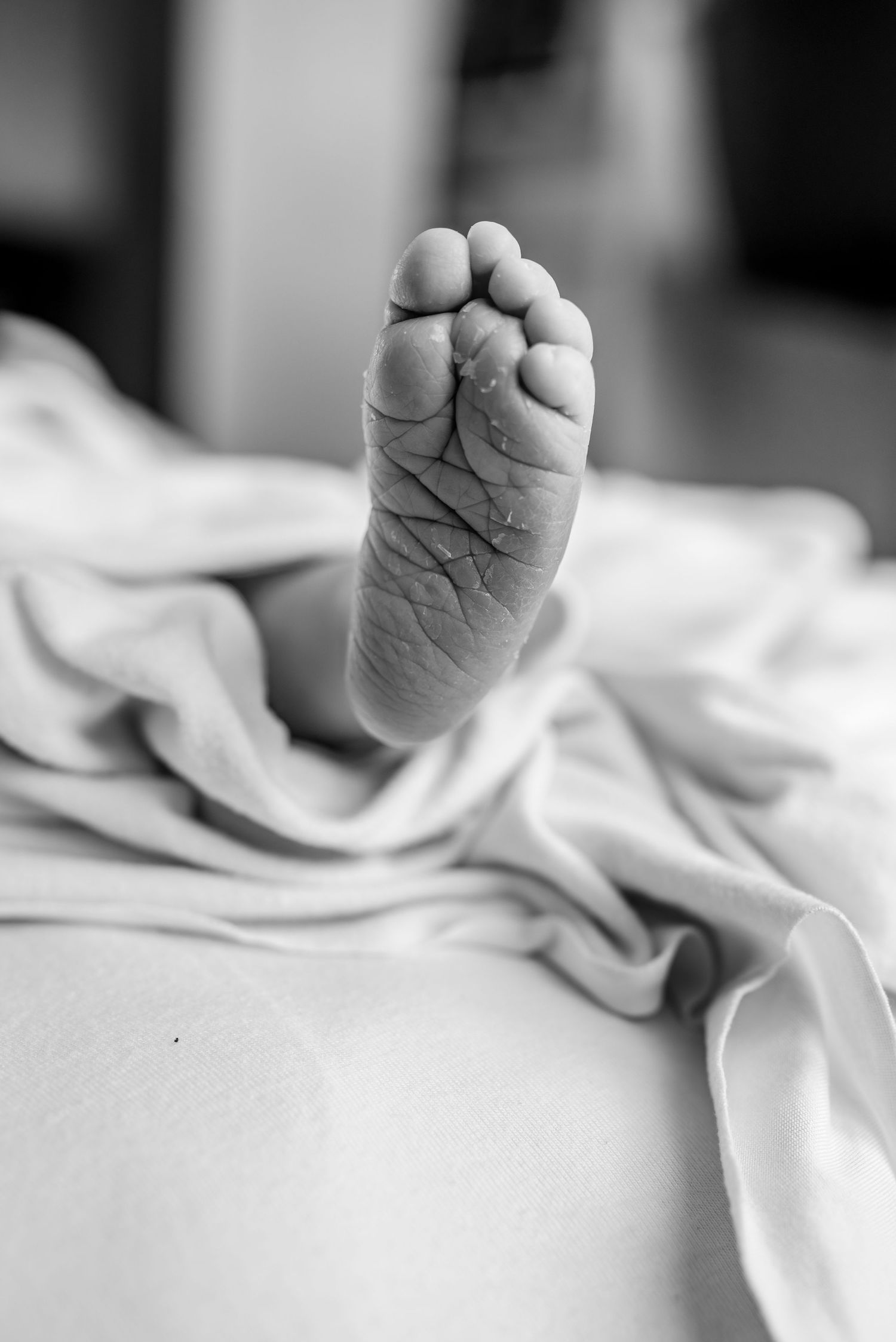 Black and white close-up of tiny baby feet against white fabric.
