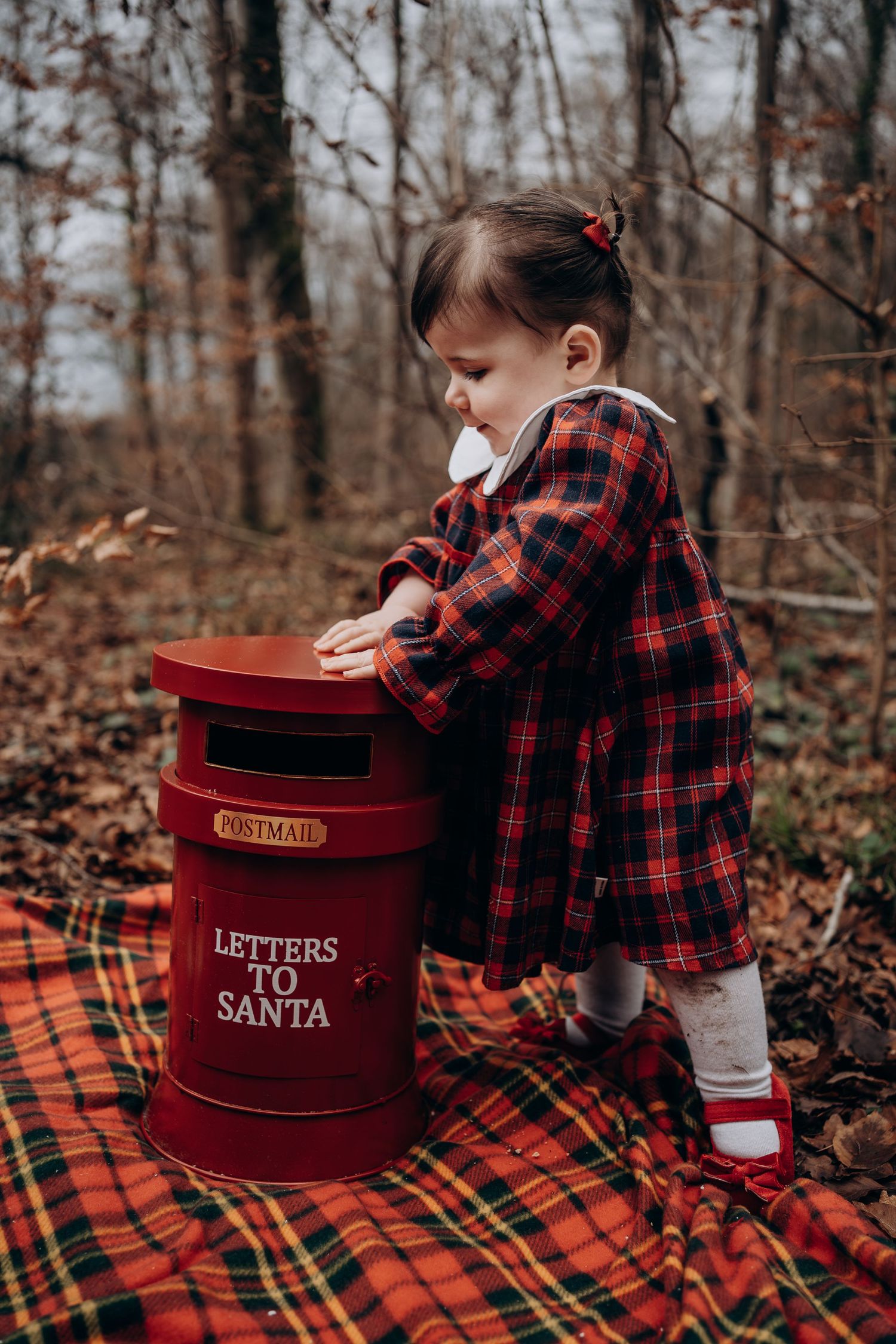 A red Letters to Santa mailbox sits on a plaid blanket in a forest setting during the holiday season.