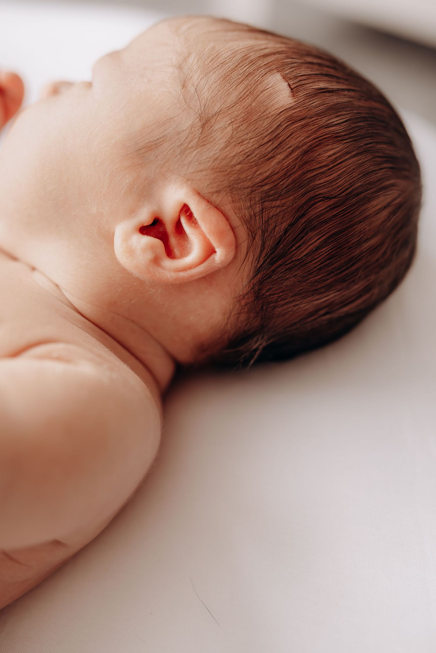 Artistic series of close-up profile shots showing a sleeping newborn's head and features.