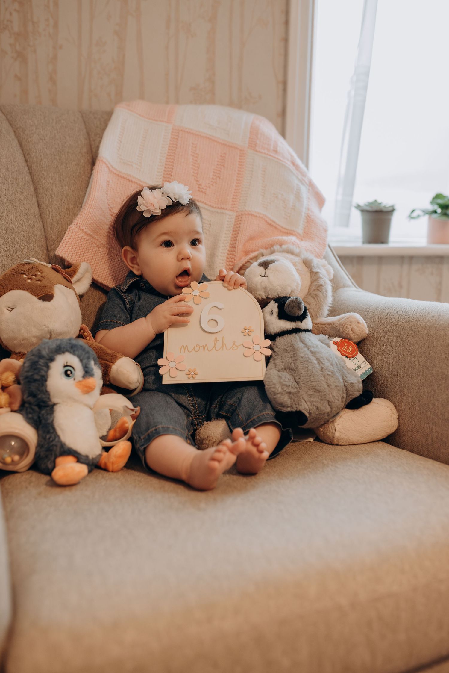 Series of stuffed animals arranged on a beige couch for monthly baby milestone photos.